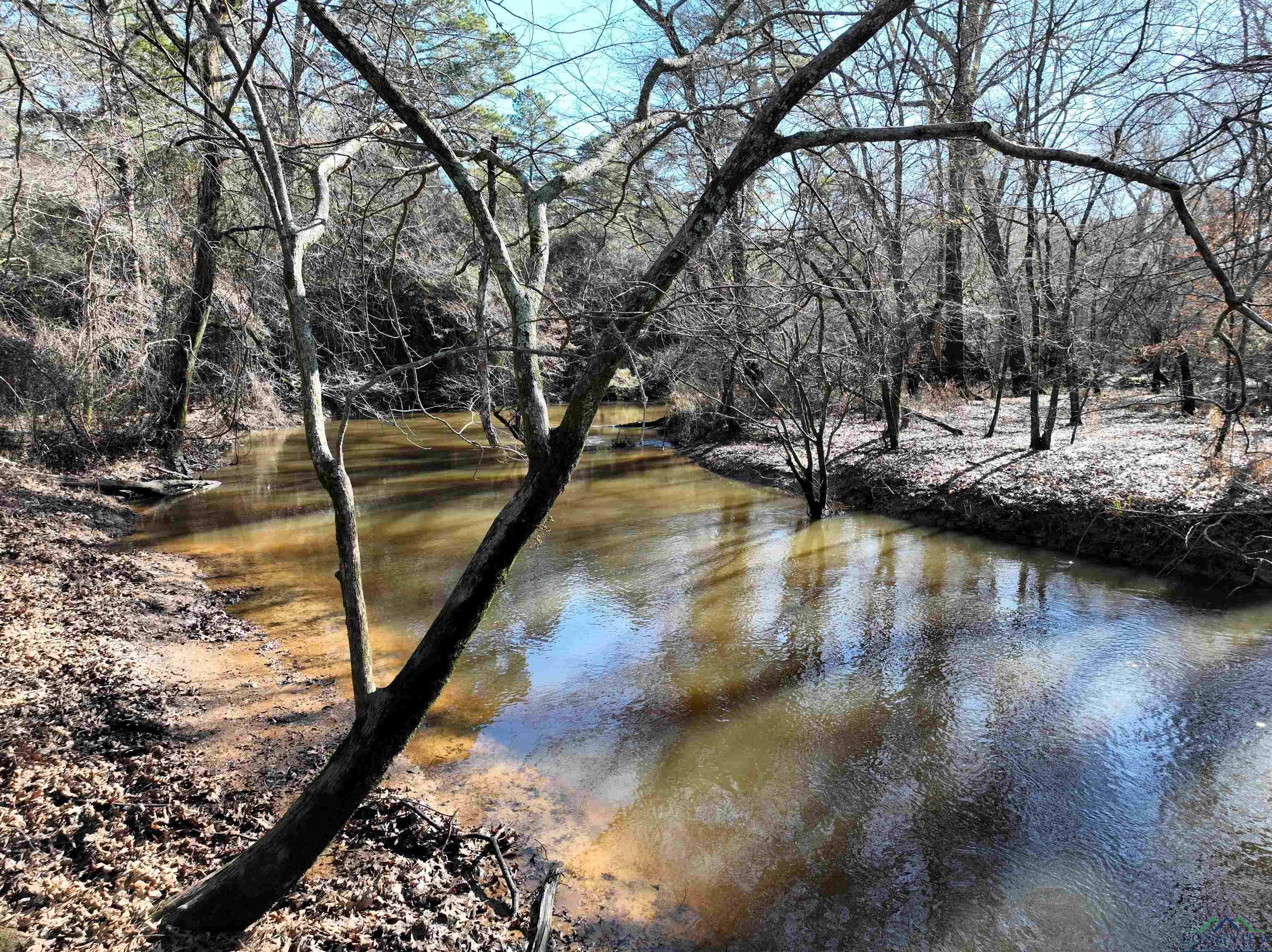 TBD Bamboo Road, Big Sandy, Texas image 3