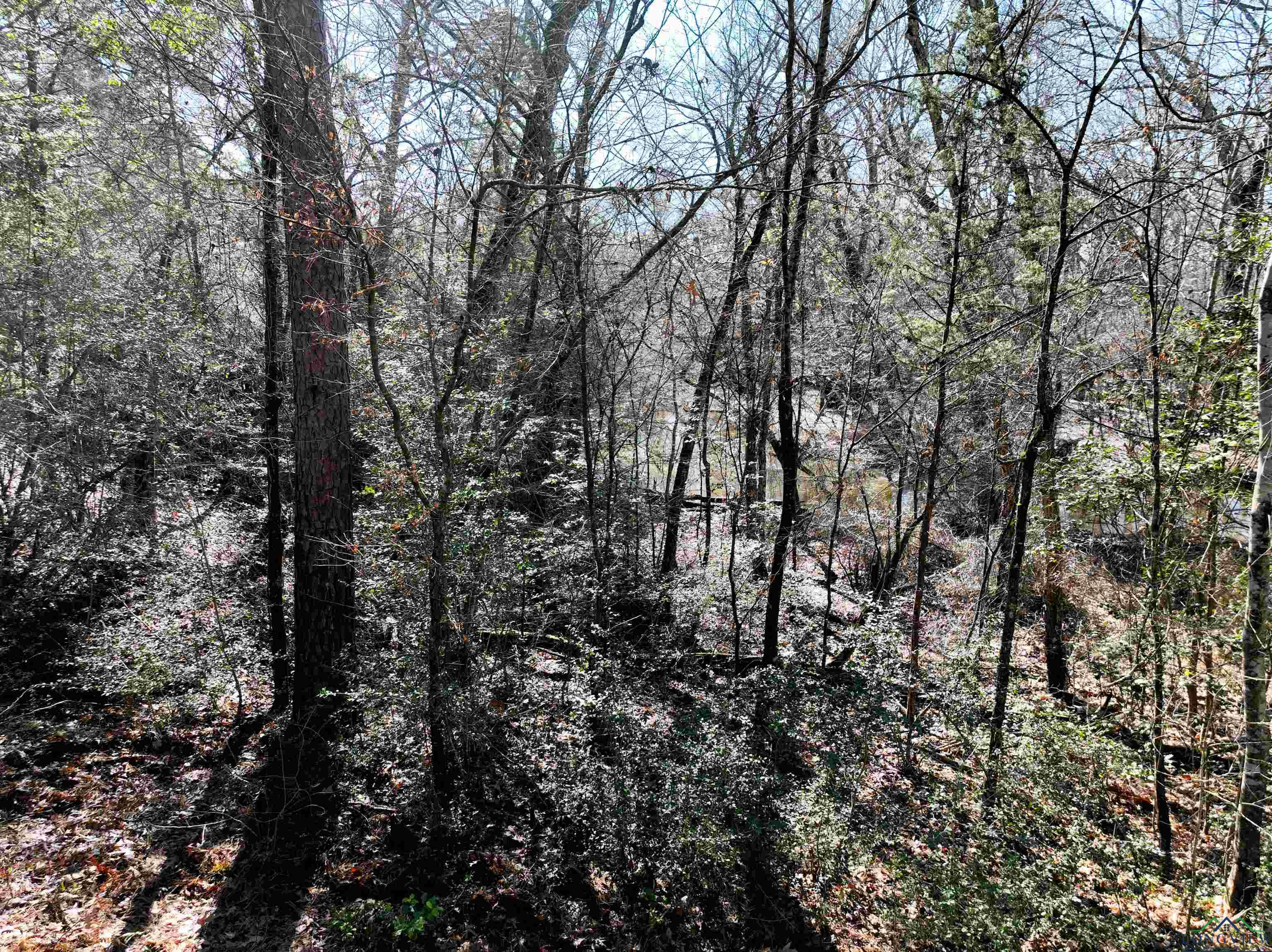 TBD Bamboo Road, Big Sandy, Texas image 31