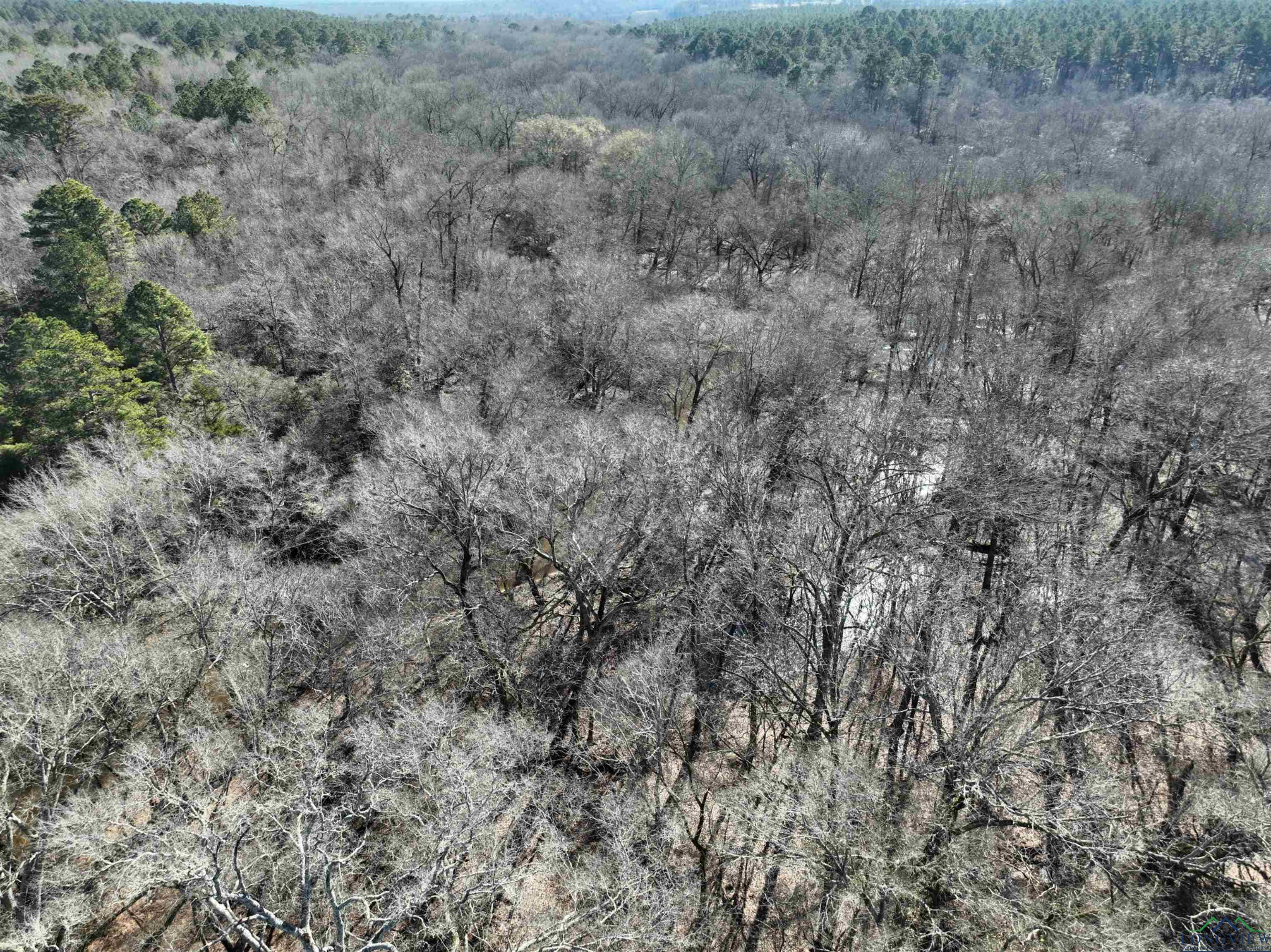 TBD Bamboo Road, Big Sandy, Texas image 28