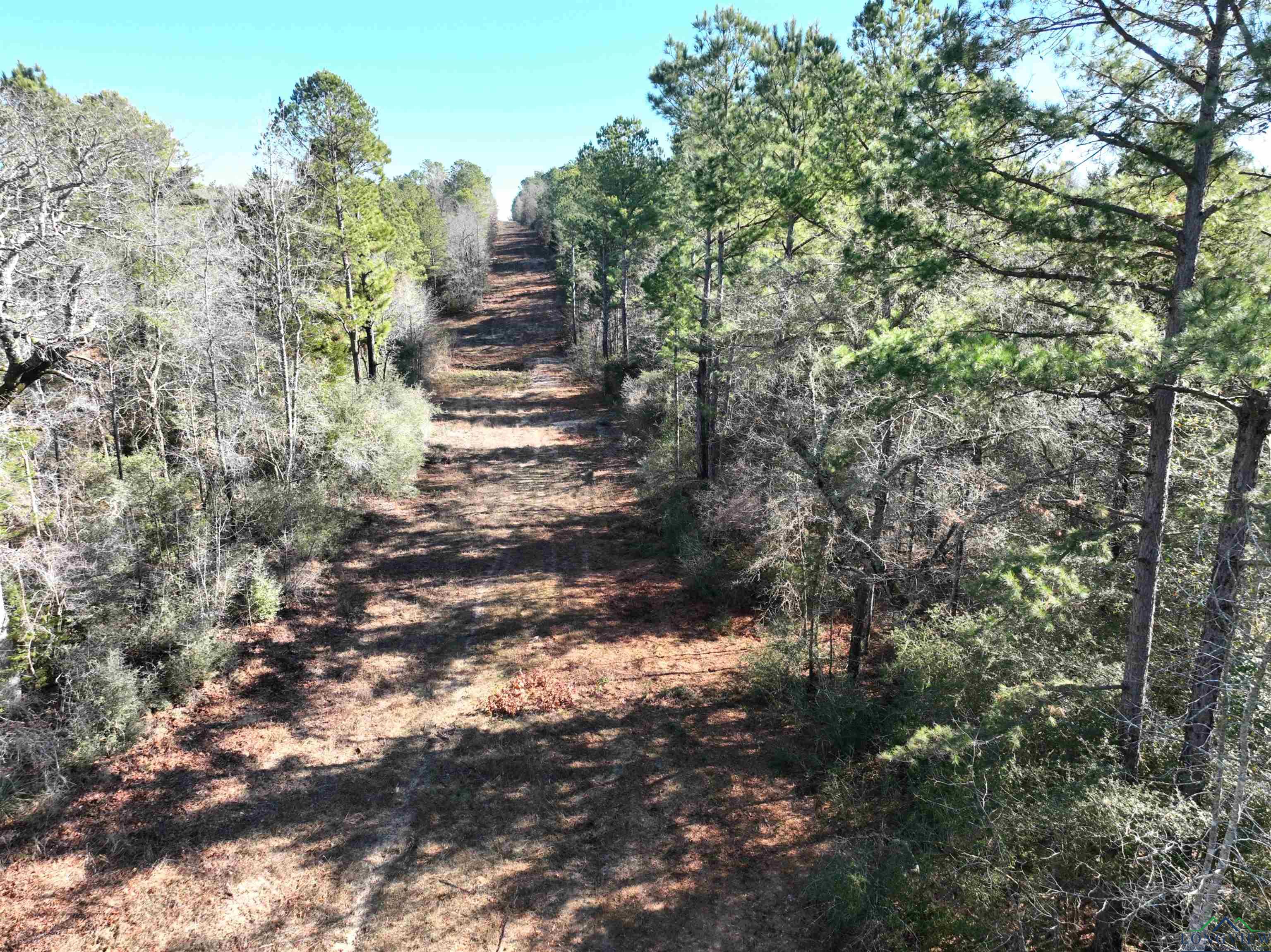 TBD Bamboo Road, Big Sandy, Texas image 9