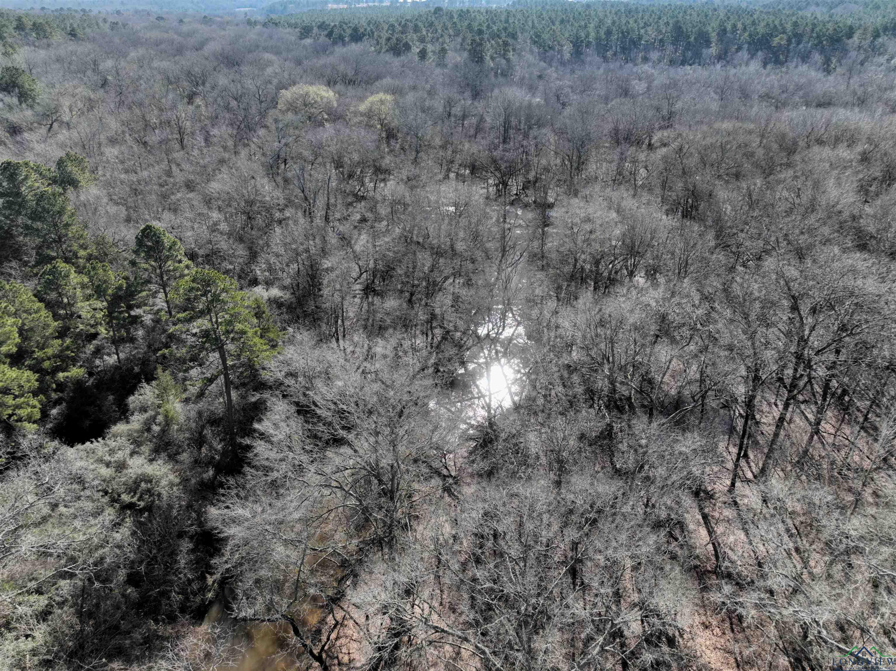 TBD Bamboo Road, Big Sandy, Texas image 27
