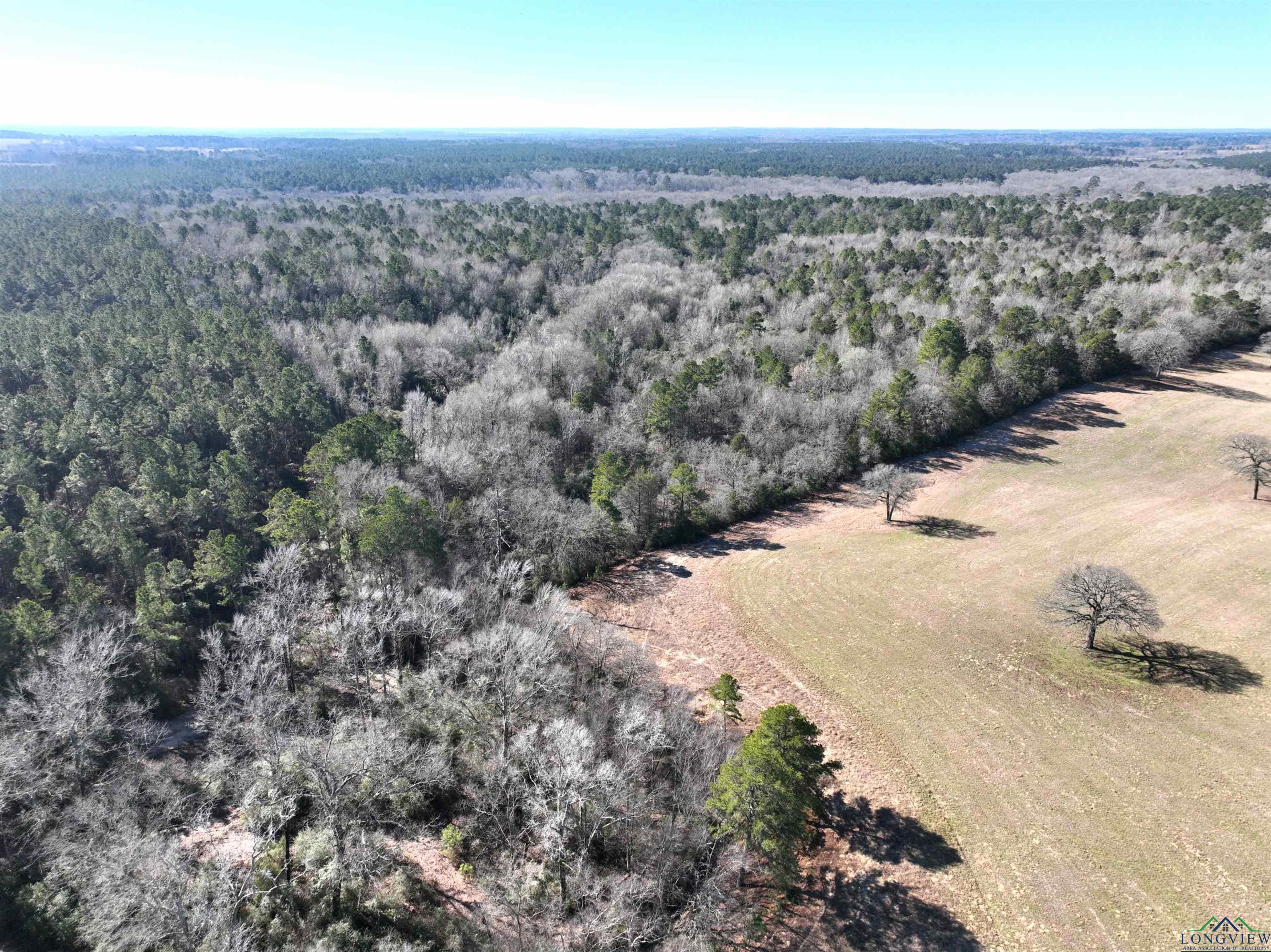TBD Bamboo Road, Big Sandy, Texas image 13