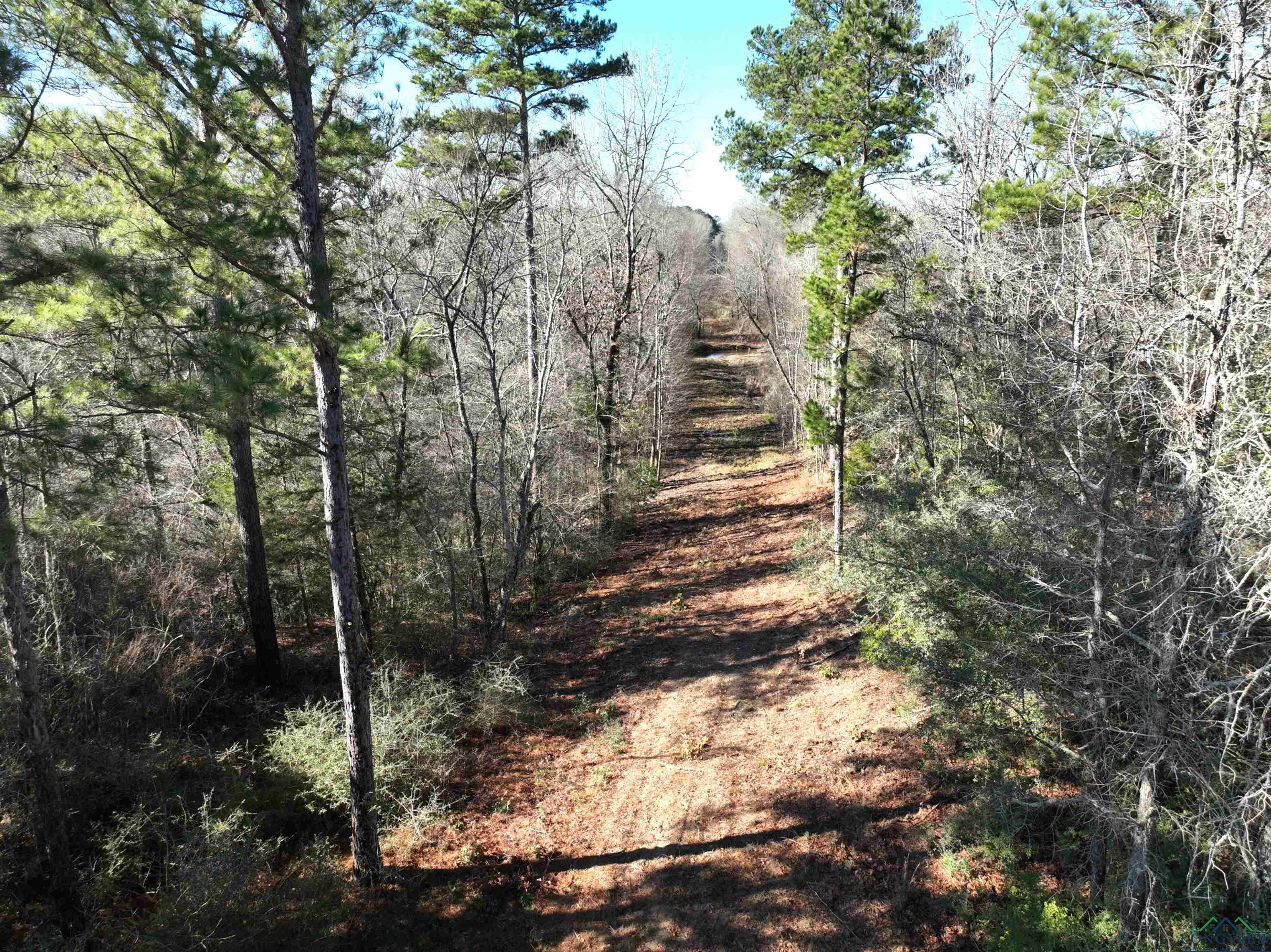 TBD Bamboo Road, Big Sandy, Texas image 10