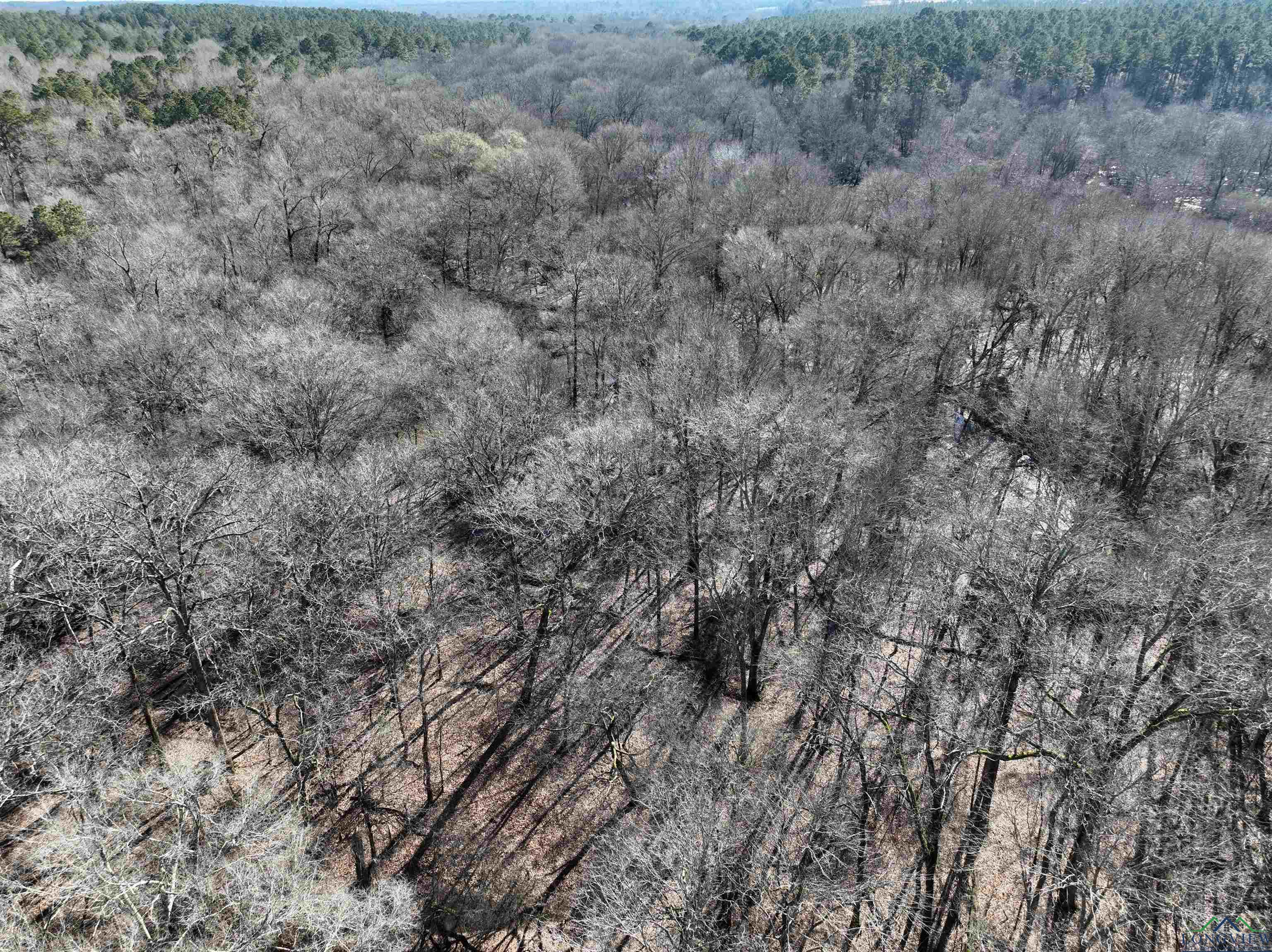TBD Bamboo Road, Big Sandy, Texas image 29