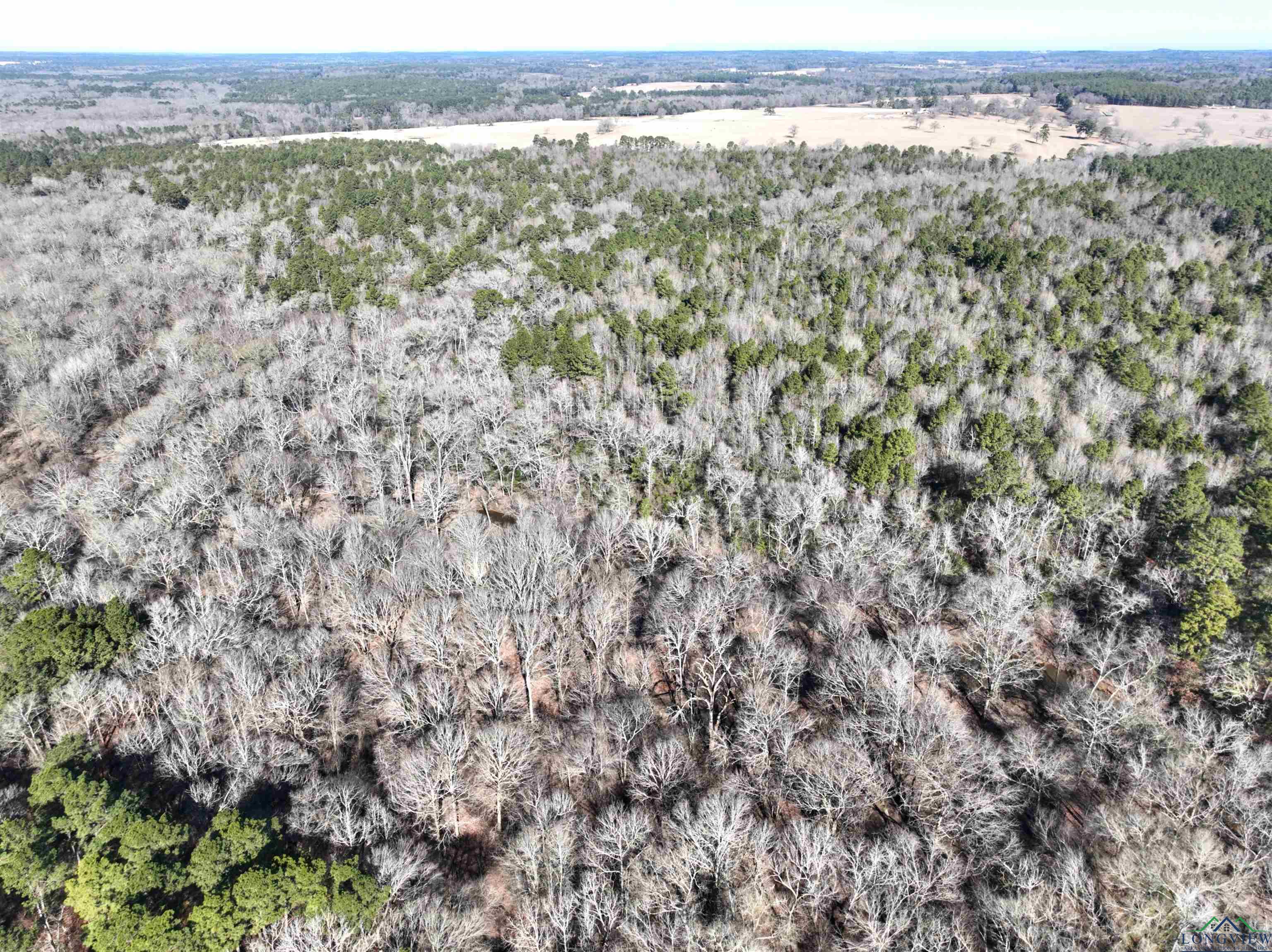TBD Bamboo Road, Big Sandy, Texas image 17