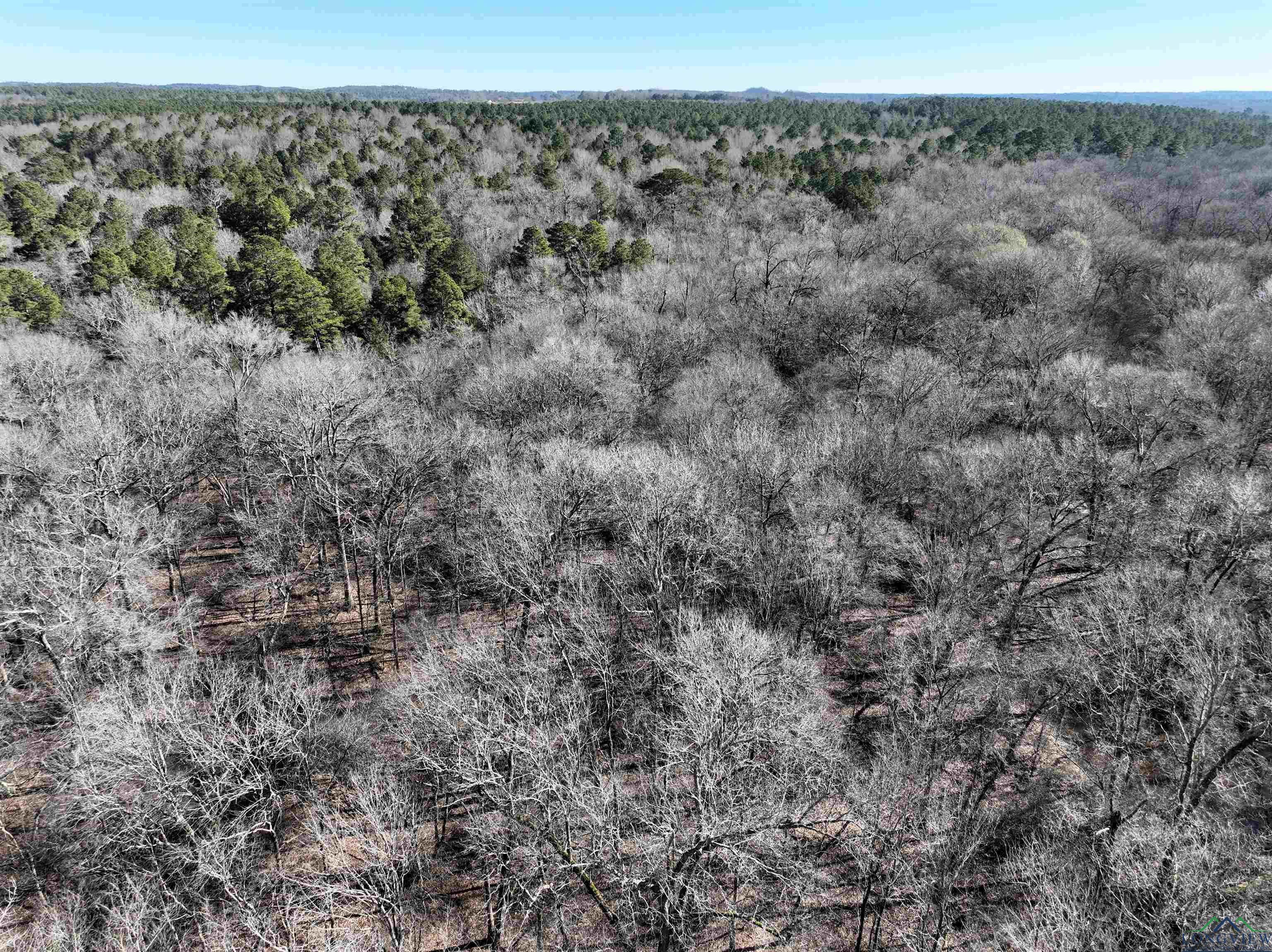 TBD Bamboo Road, Big Sandy, Texas image 30