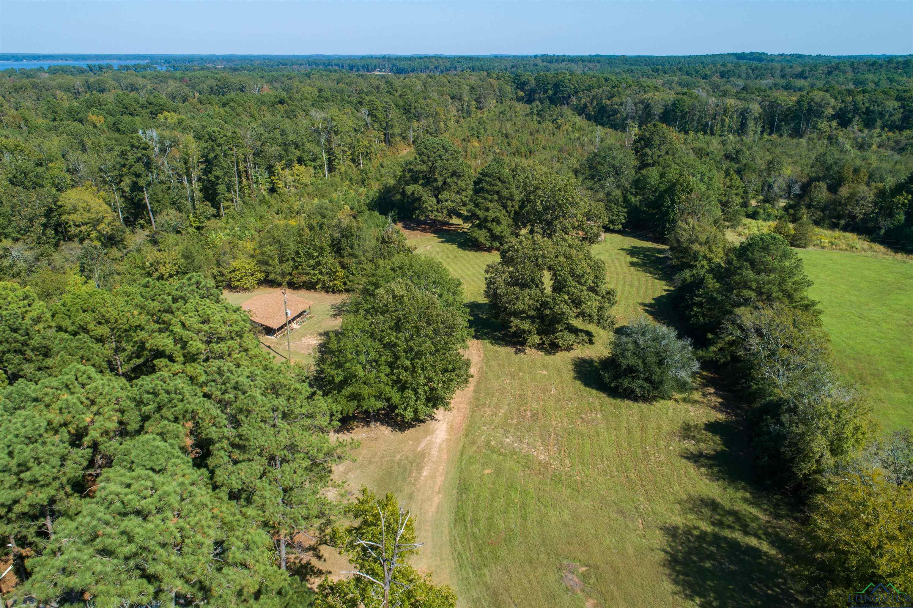 230 Younger Rd, Diana, Texas image 27