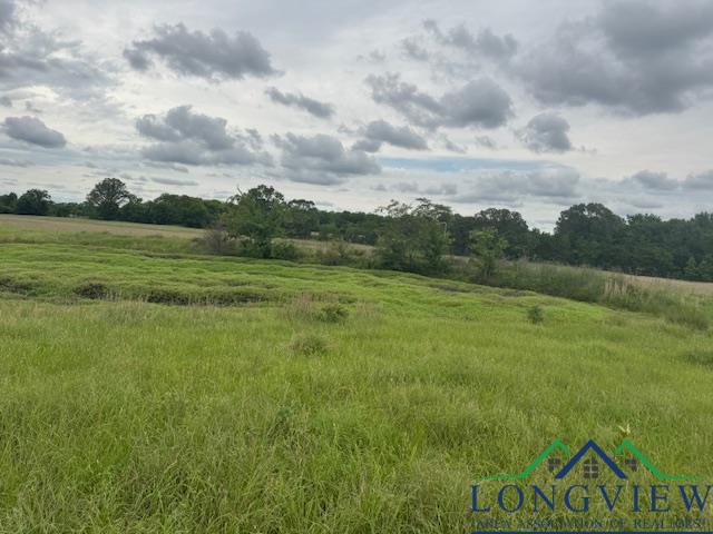 TBD Cr 3365, Mount Pleasant, Texas image 8
