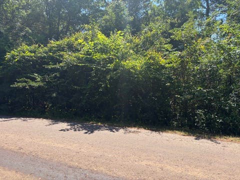 Vacant Land For Sale - LOT 11 Deerwood Drive<br/> Harleton, TX 75651