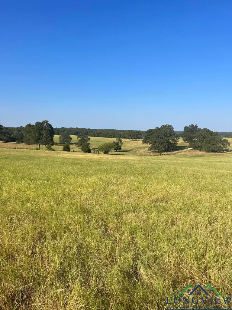 TBD Cr 3812 (tract 8), Troup, Texas image 1