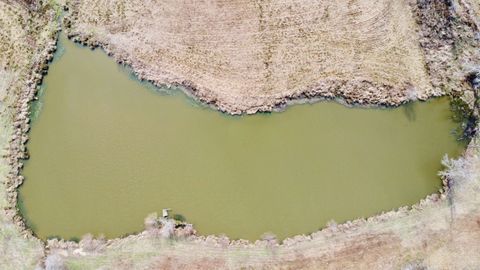 Vacant Land For Sale - TBD Cr 1460-2<br/> Linden, TX 75563