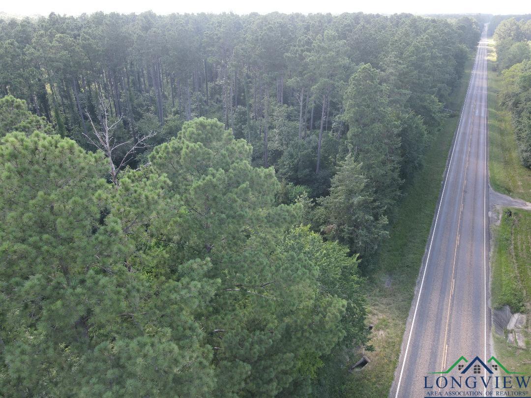 Tbd Fm 699, Tenaha, Texas image 9