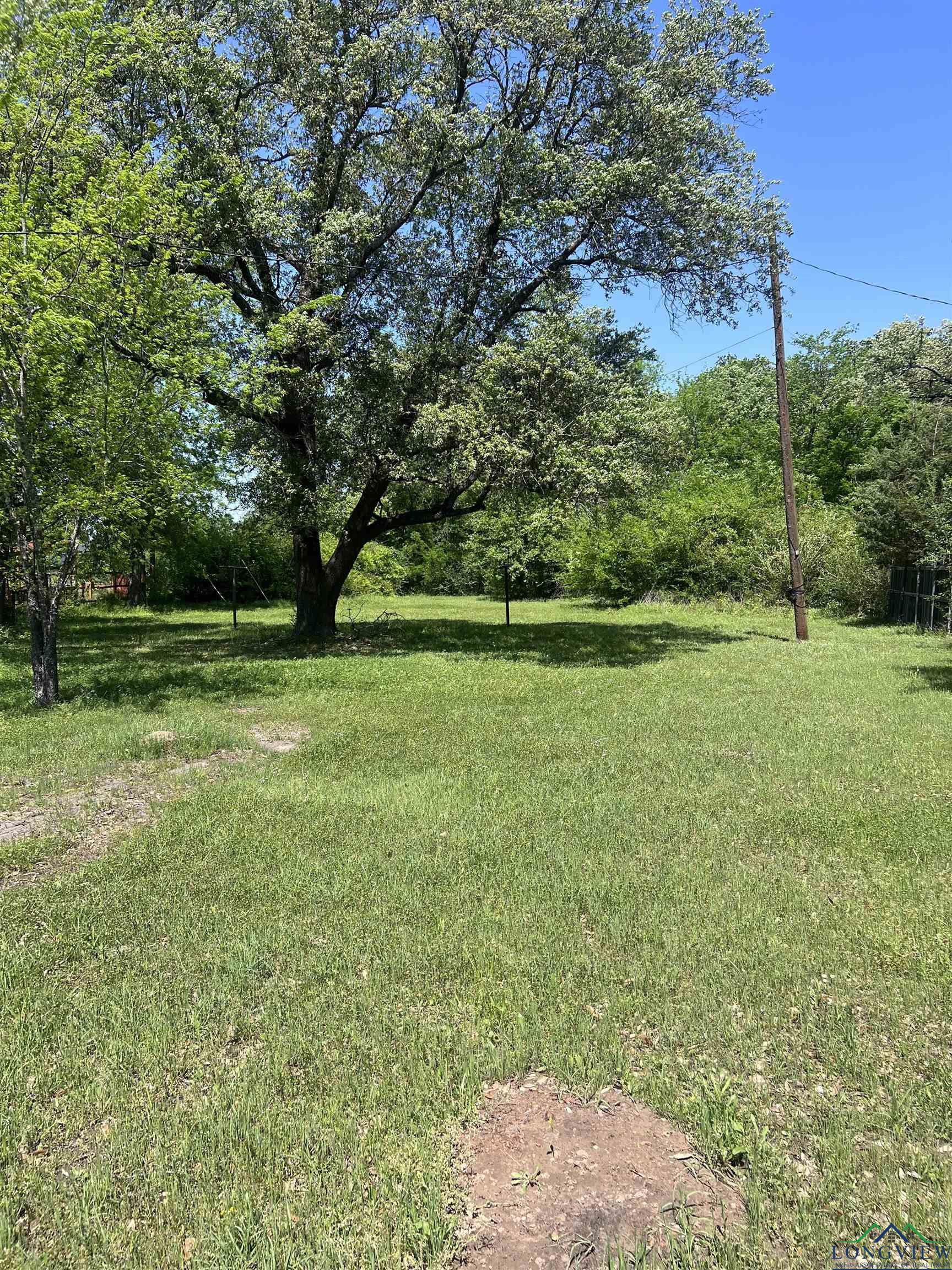 411 E Stadium Ln, Van, Texas image 7