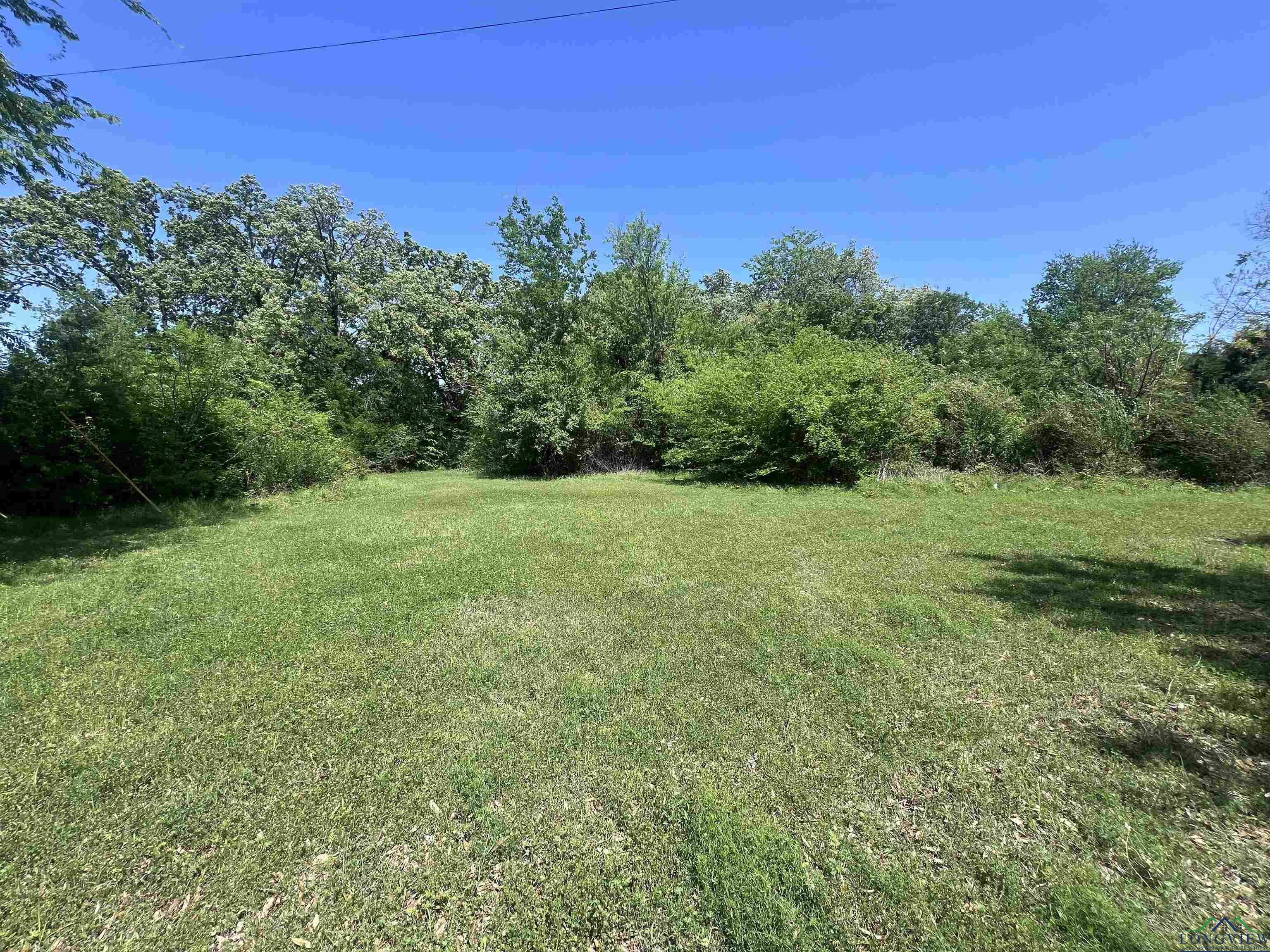 411 E Stadium Ln, Van, Texas image 4