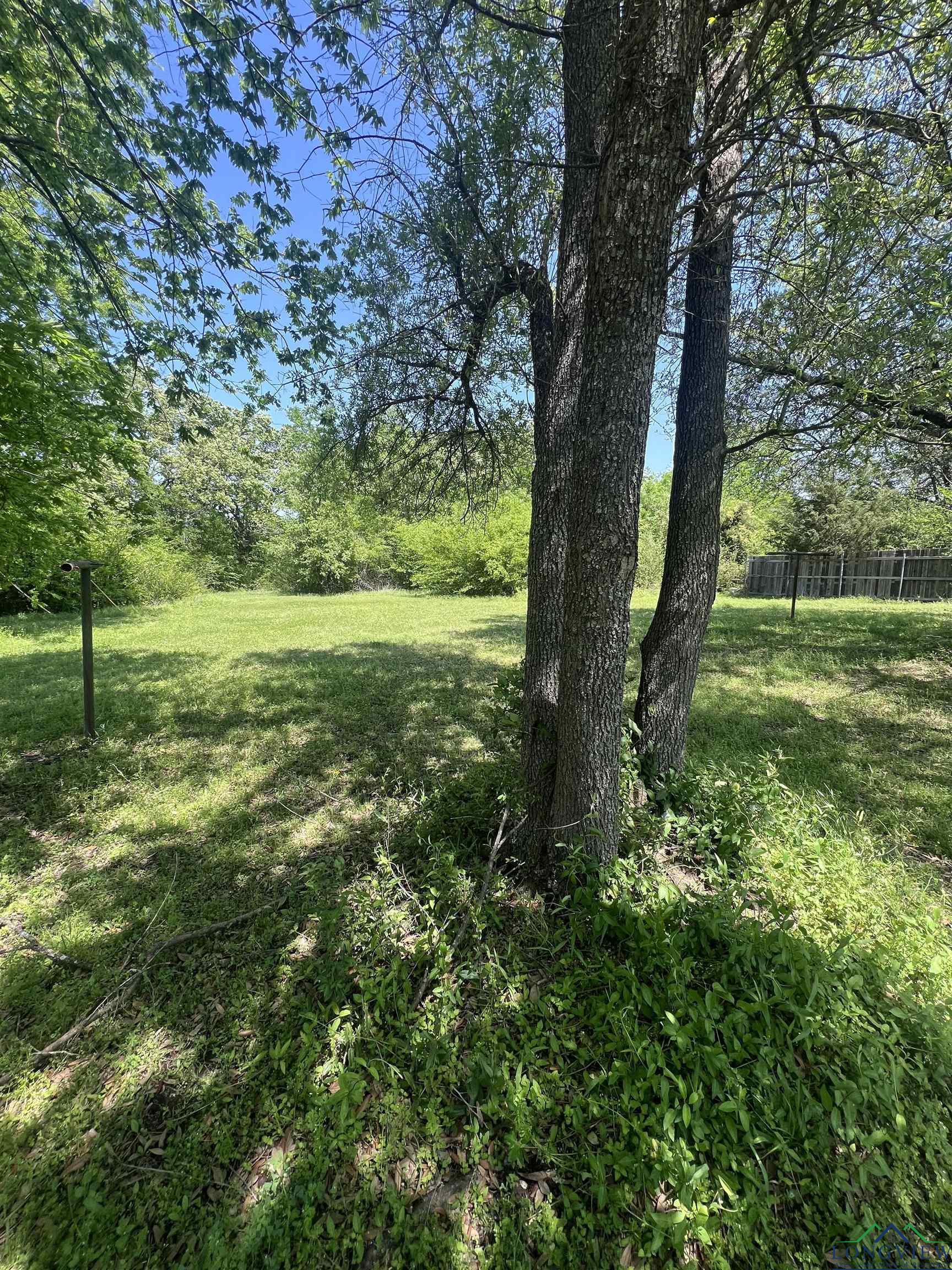 411 E Stadium Ln, Van, Texas image 3