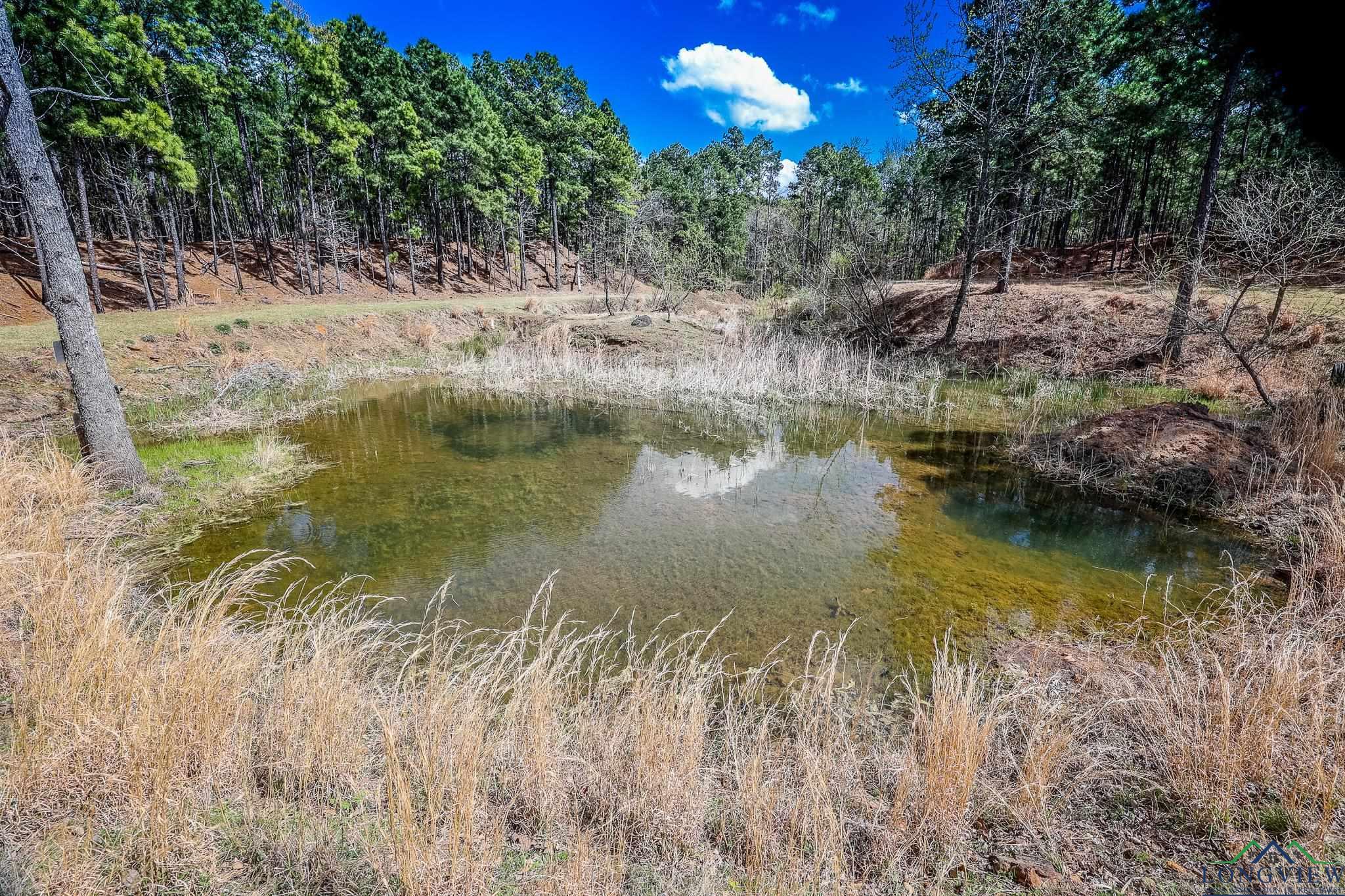 741 AC Sycamore Rd, Daingerfield, Texas image 38