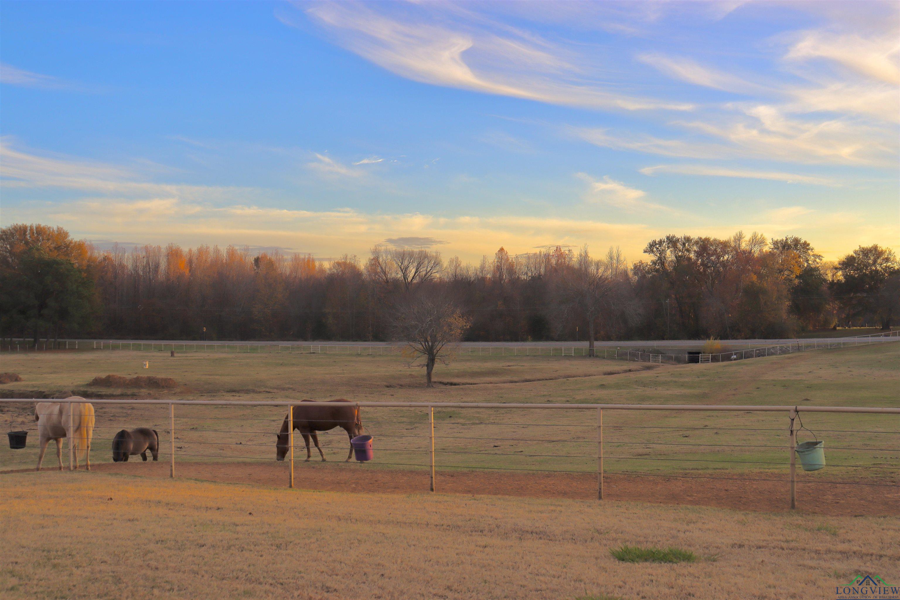 13002 W Fm 344, Bullard, Texas image 4