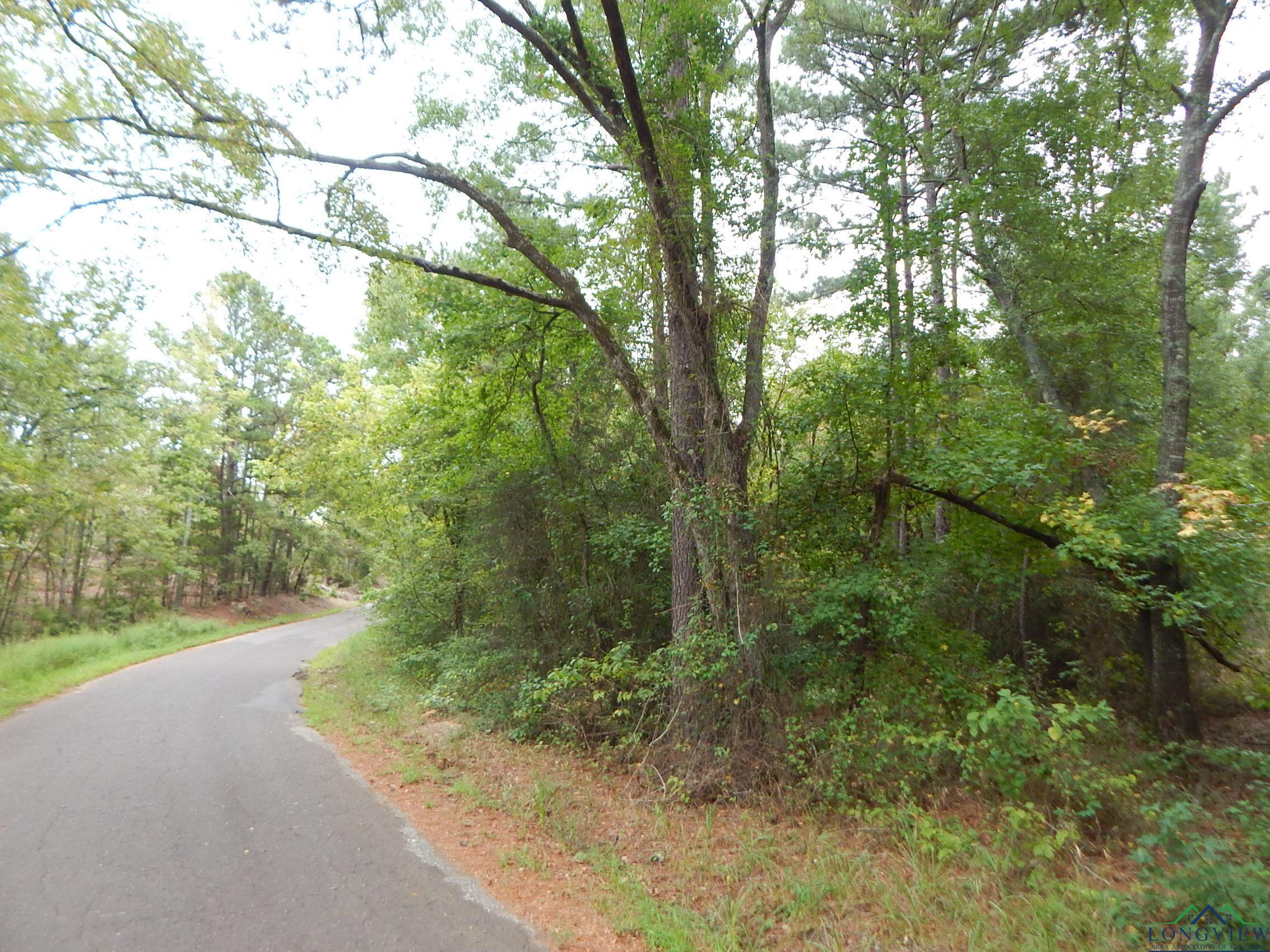 TBD 70.78 Red Maple Rd, Big Sandy, Texas image 3