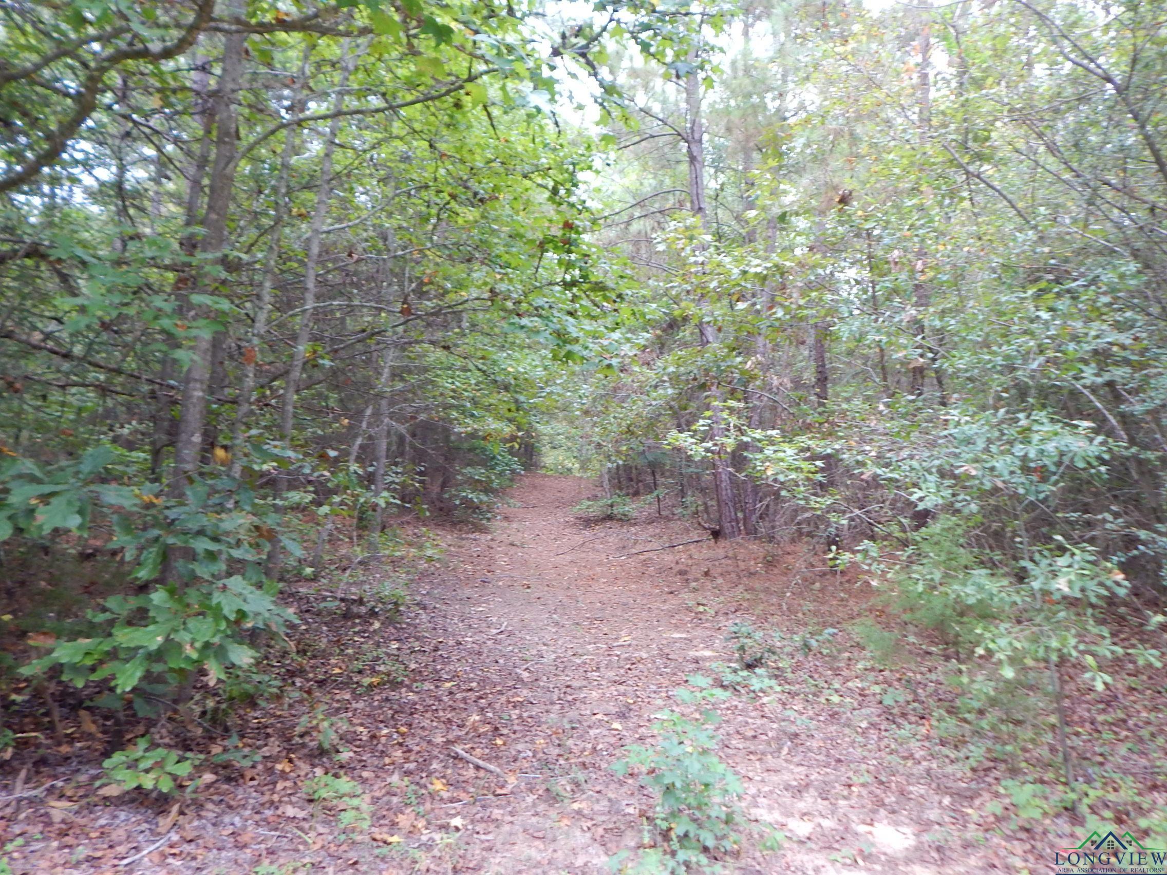 TBD 70.78 Red Maple Rd, Big Sandy, Texas image 9