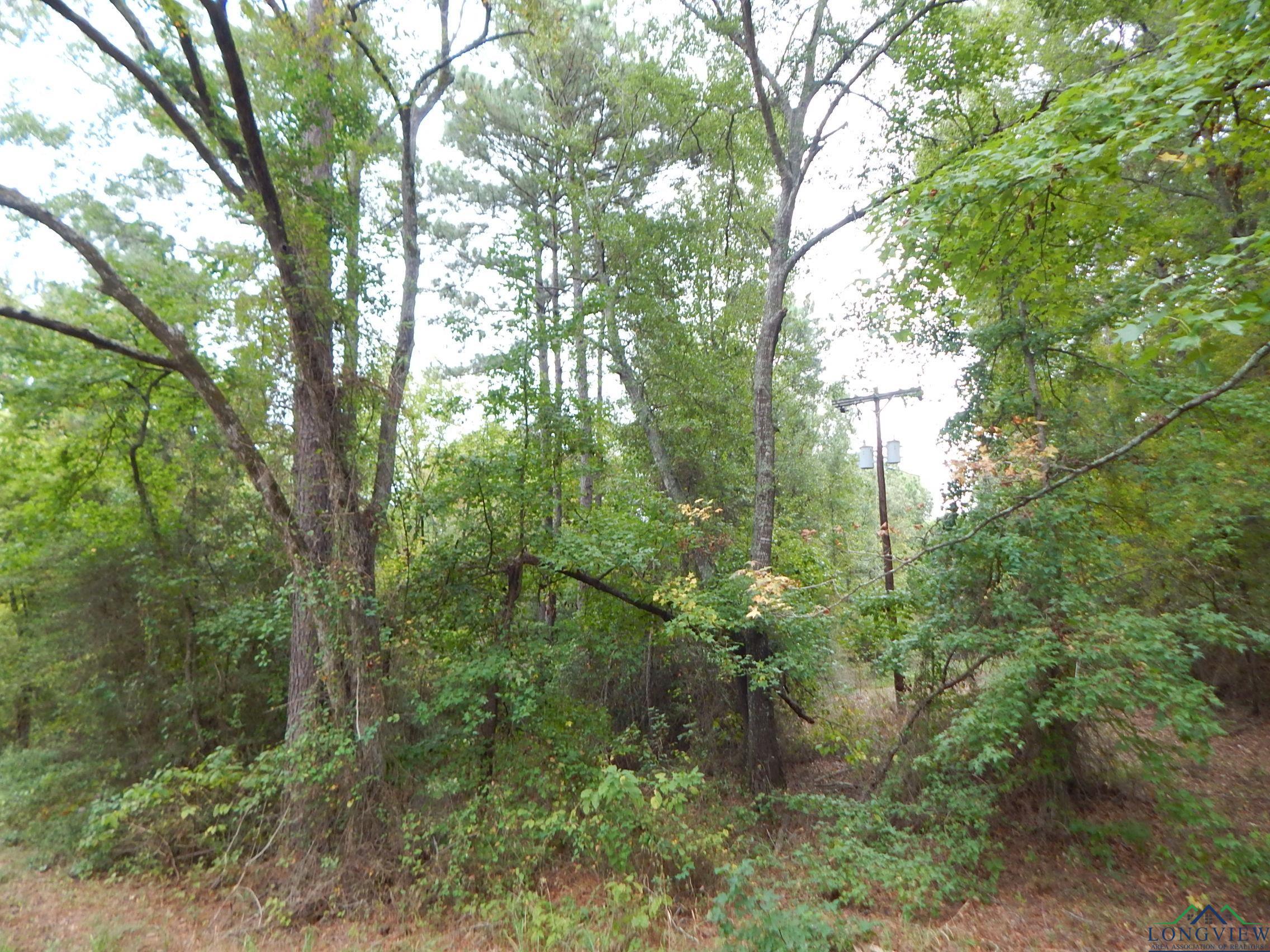 TBD 70.78 Red Maple Rd, Big Sandy, Texas image 2