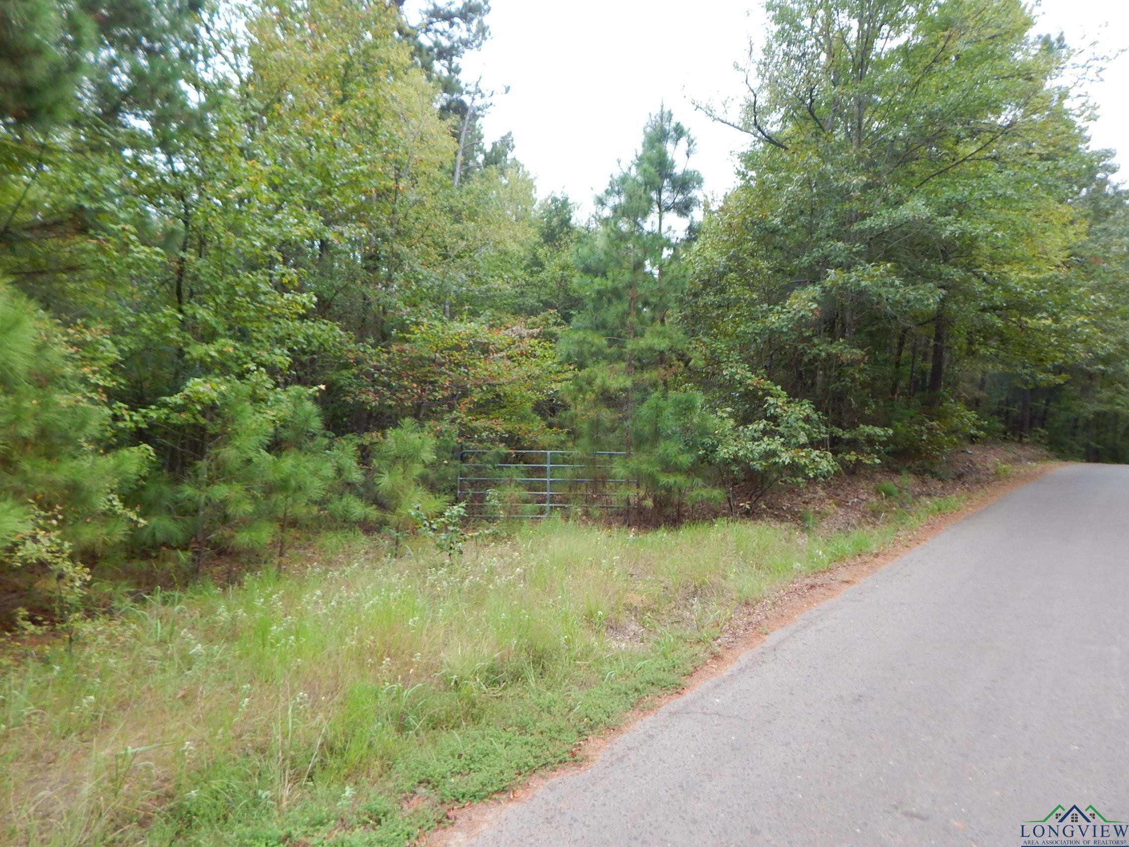 TBD 70.78 Red Maple Rd, Big Sandy, Texas image 4