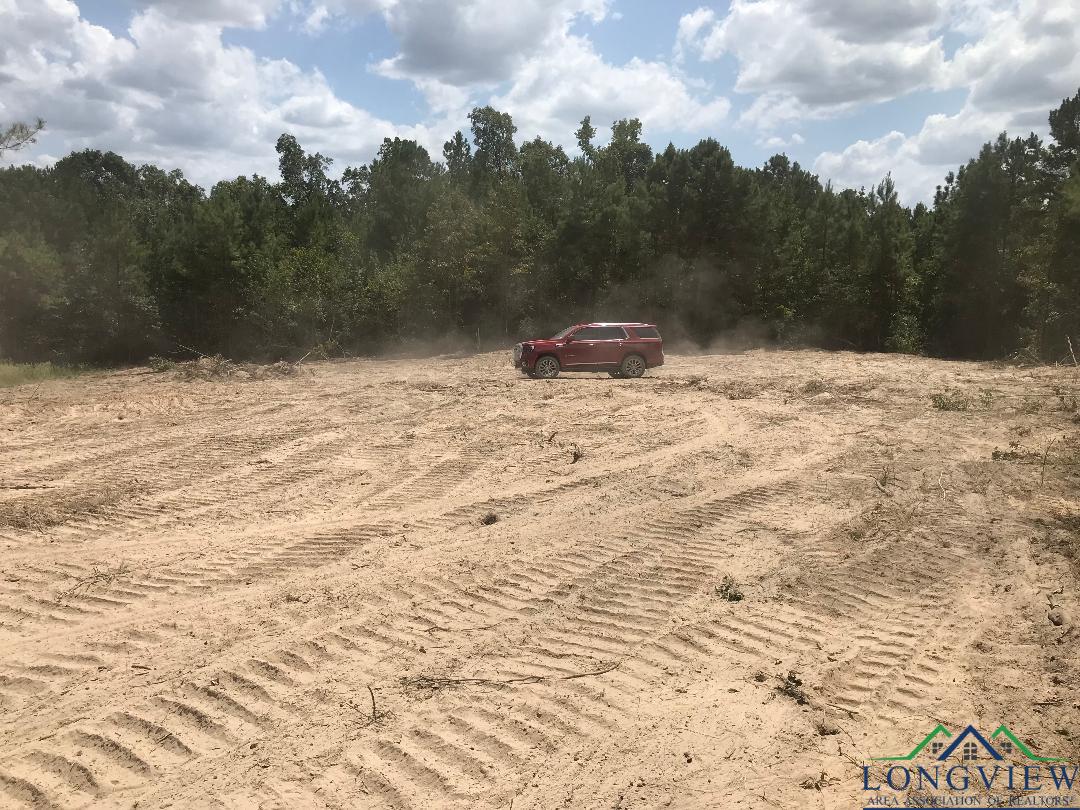 TBD Aster Road (14.95 Acs.), Gilmer, Texas image 2