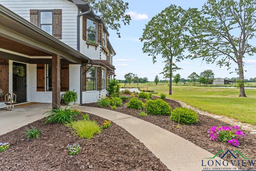 6056 Bobwhite Road, Gilmer, Texas image 4