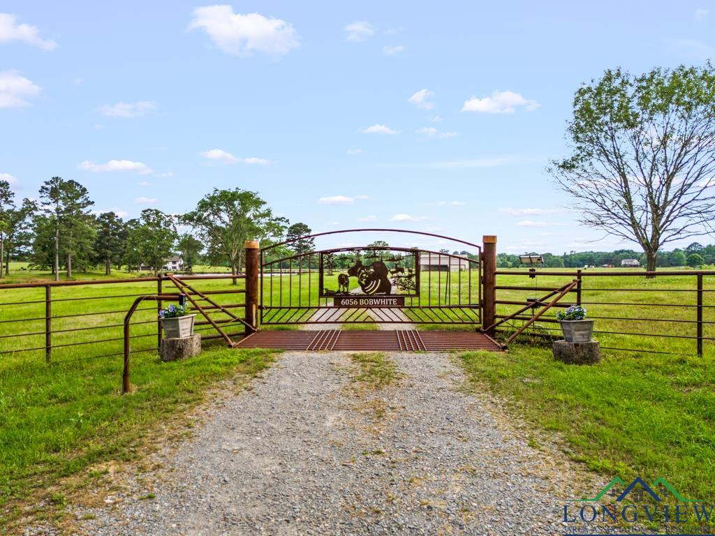 6056 Bobwhite Road, Gilmer, Texas image 50