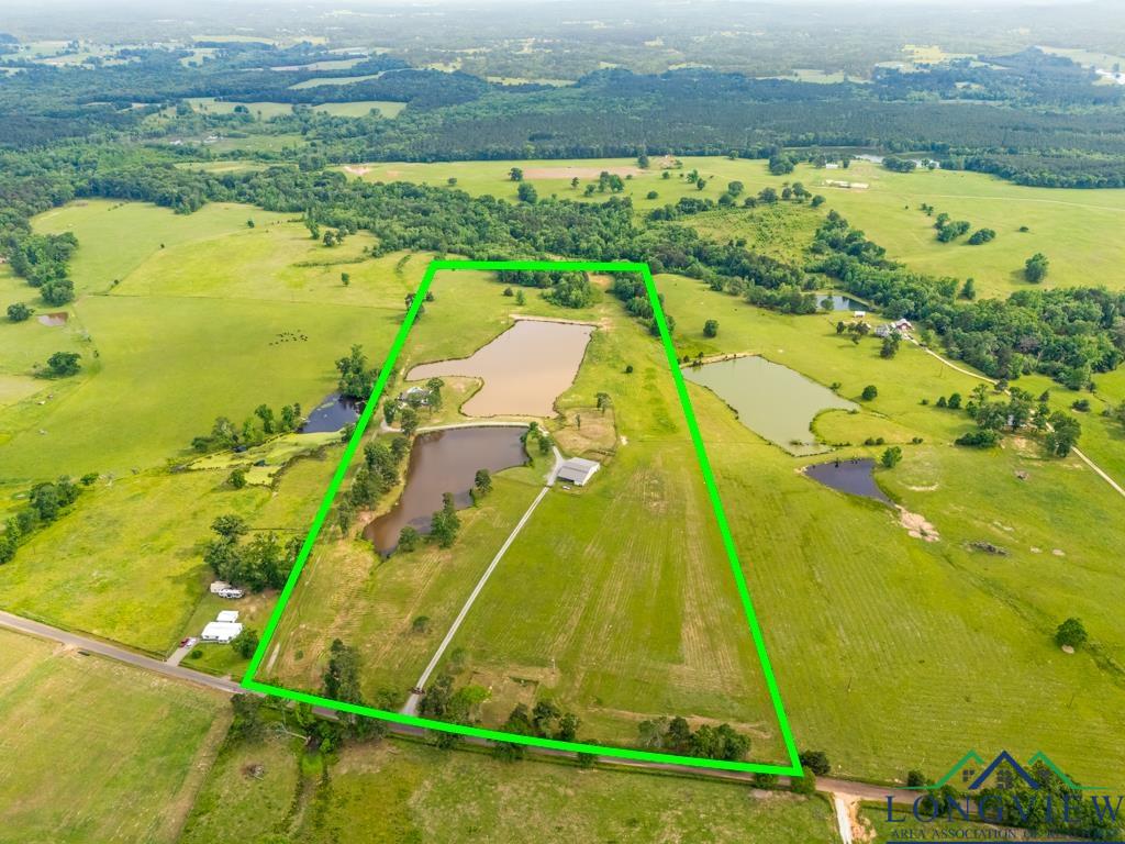 6056 Bobwhite Road, Gilmer, Texas image 3