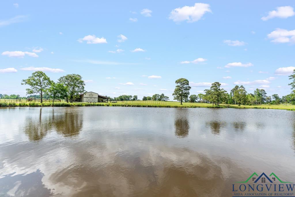 6056 Bobwhite Road, Gilmer, Texas image 36