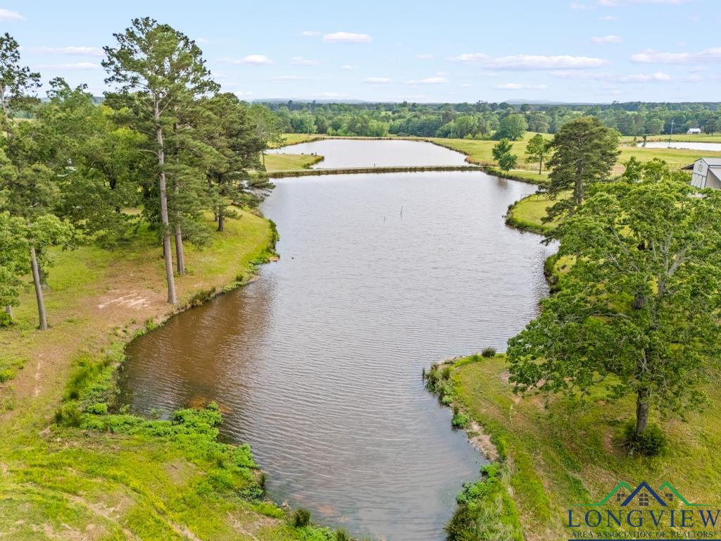 6056 Bobwhite Road, Gilmer, Texas image 37
