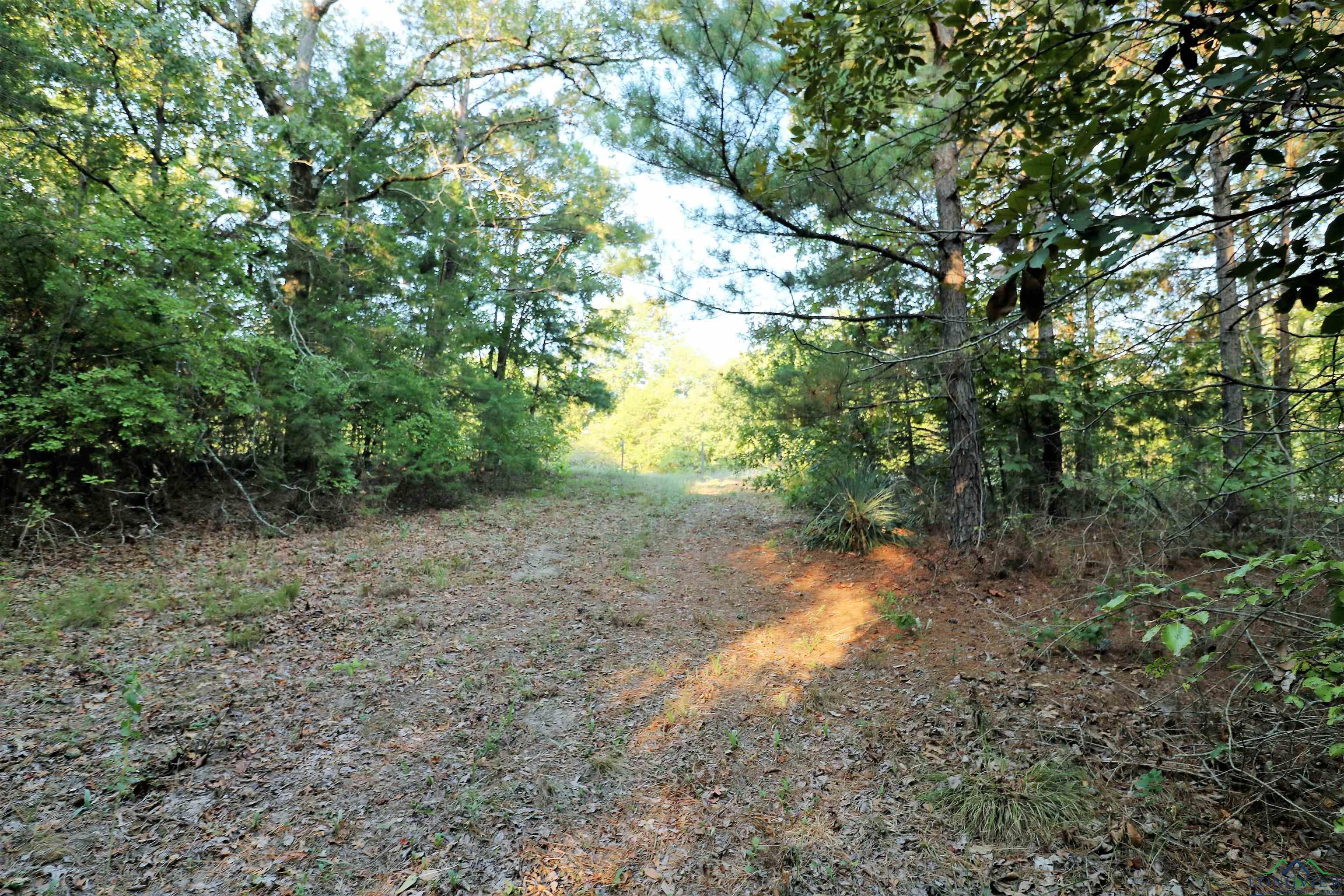 TBD Fm 1002, Winnsboro, Texas image 9