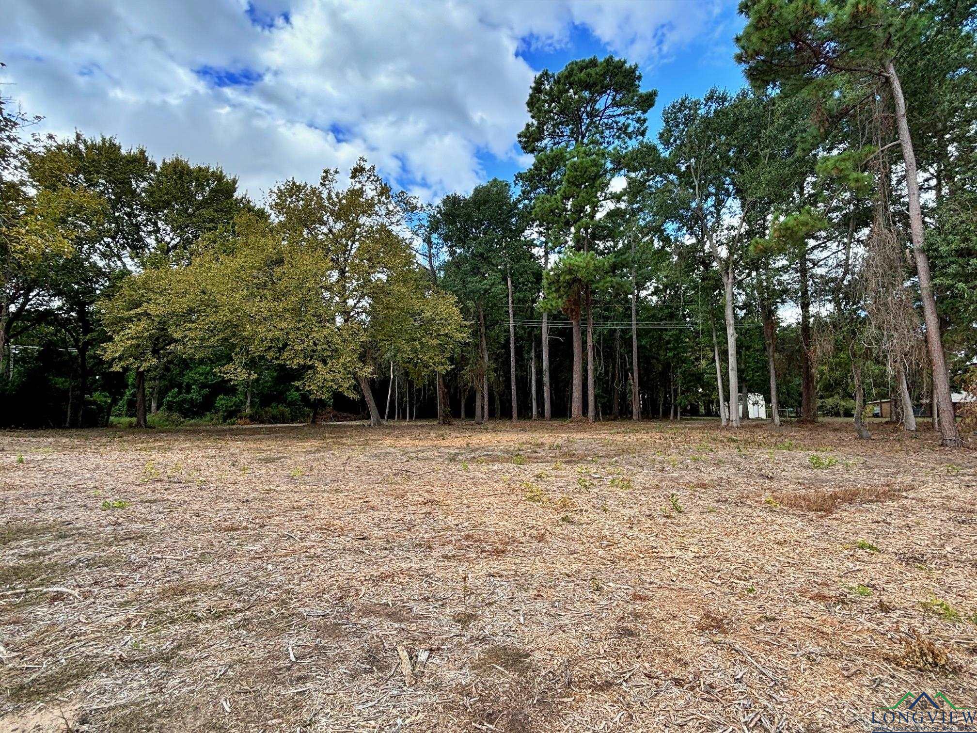 2431 N Jefferson Ave, Mount Pleasant, Texas image 28