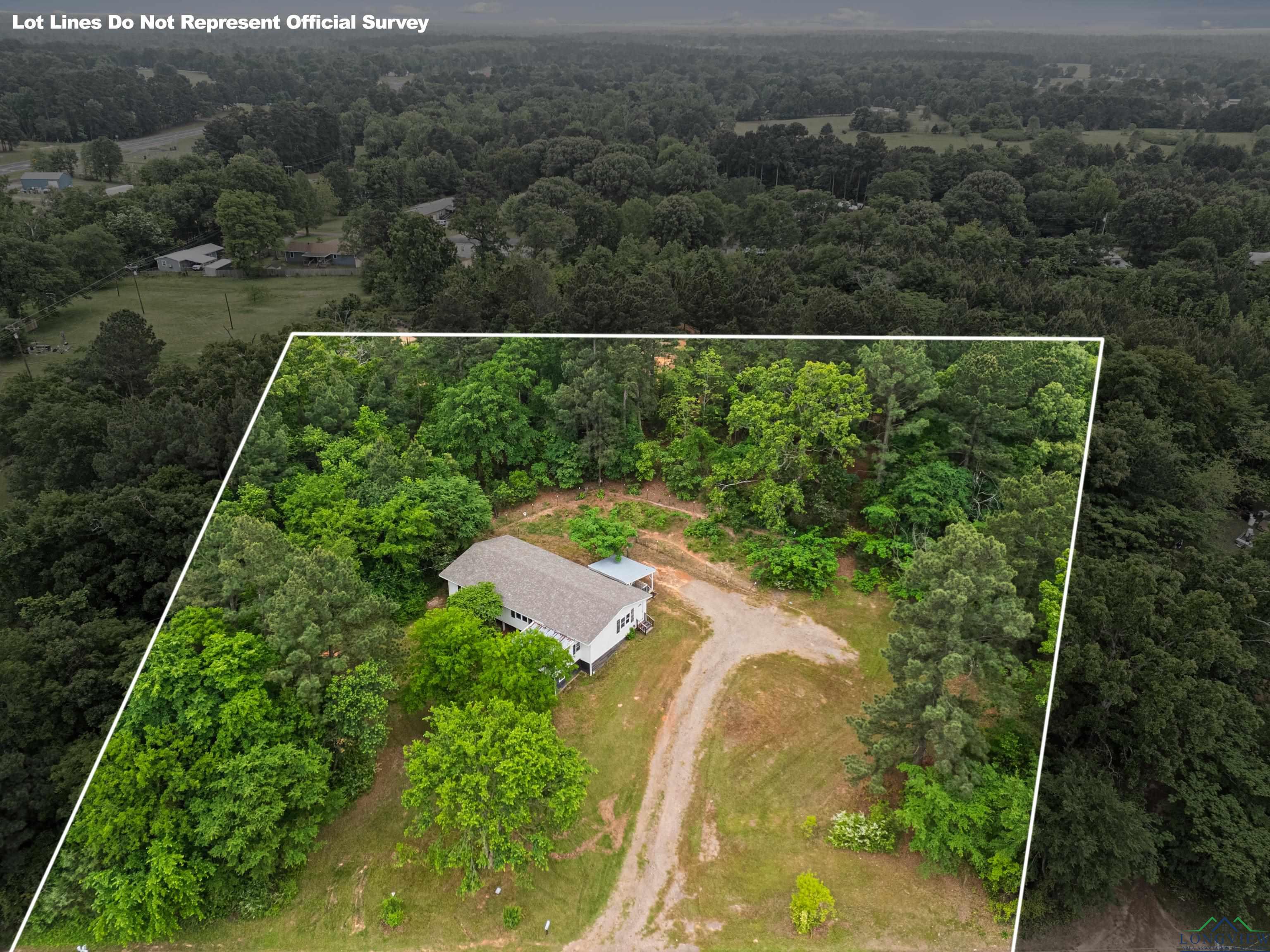 217 Short Rd, Gilmer, Texas image 43
