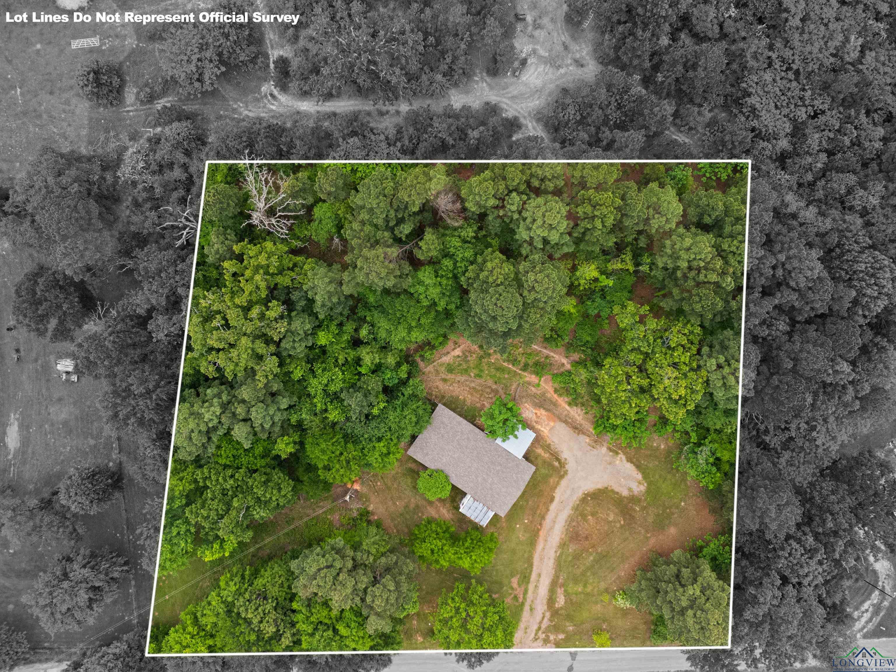 217 Short Rd, Gilmer, Texas image 44