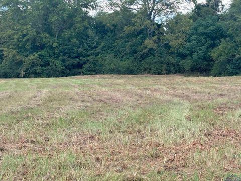 Vacant Land For Sale - TBD W Loop 281<br/> Longview, TX 75064