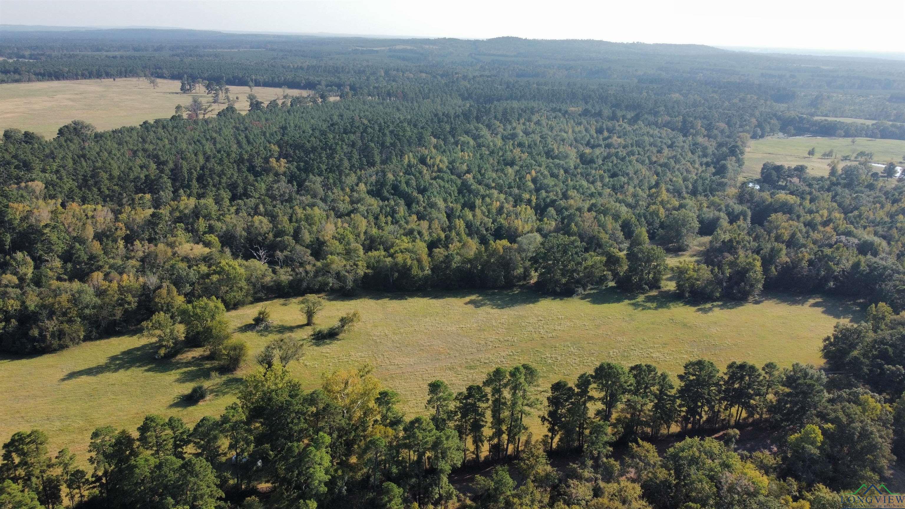 TBD W Cr 4187, Henderson, Texas image 11