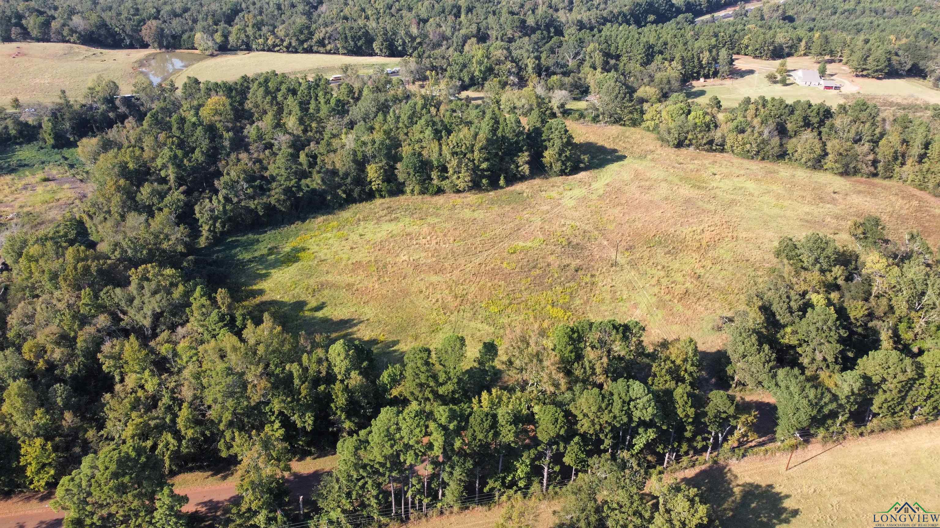 TBD W Cr 4187, Henderson, Texas image 7