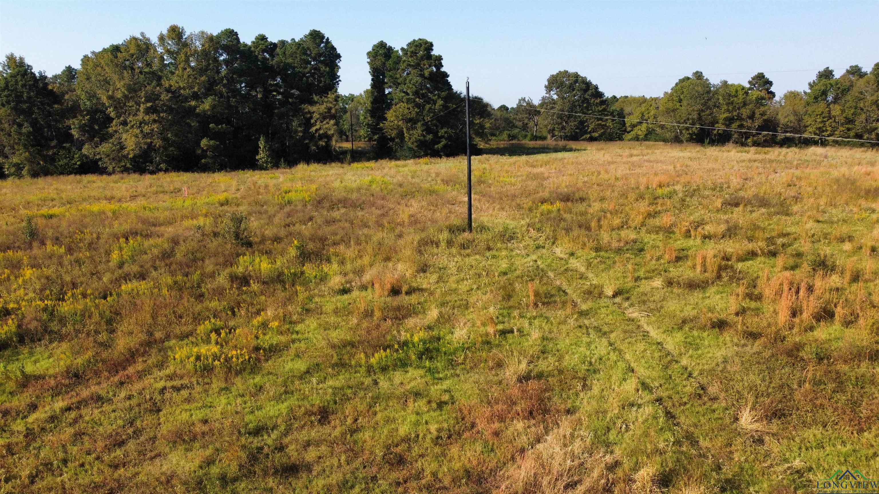 TBD W Cr 4187, Henderson, Texas image 4