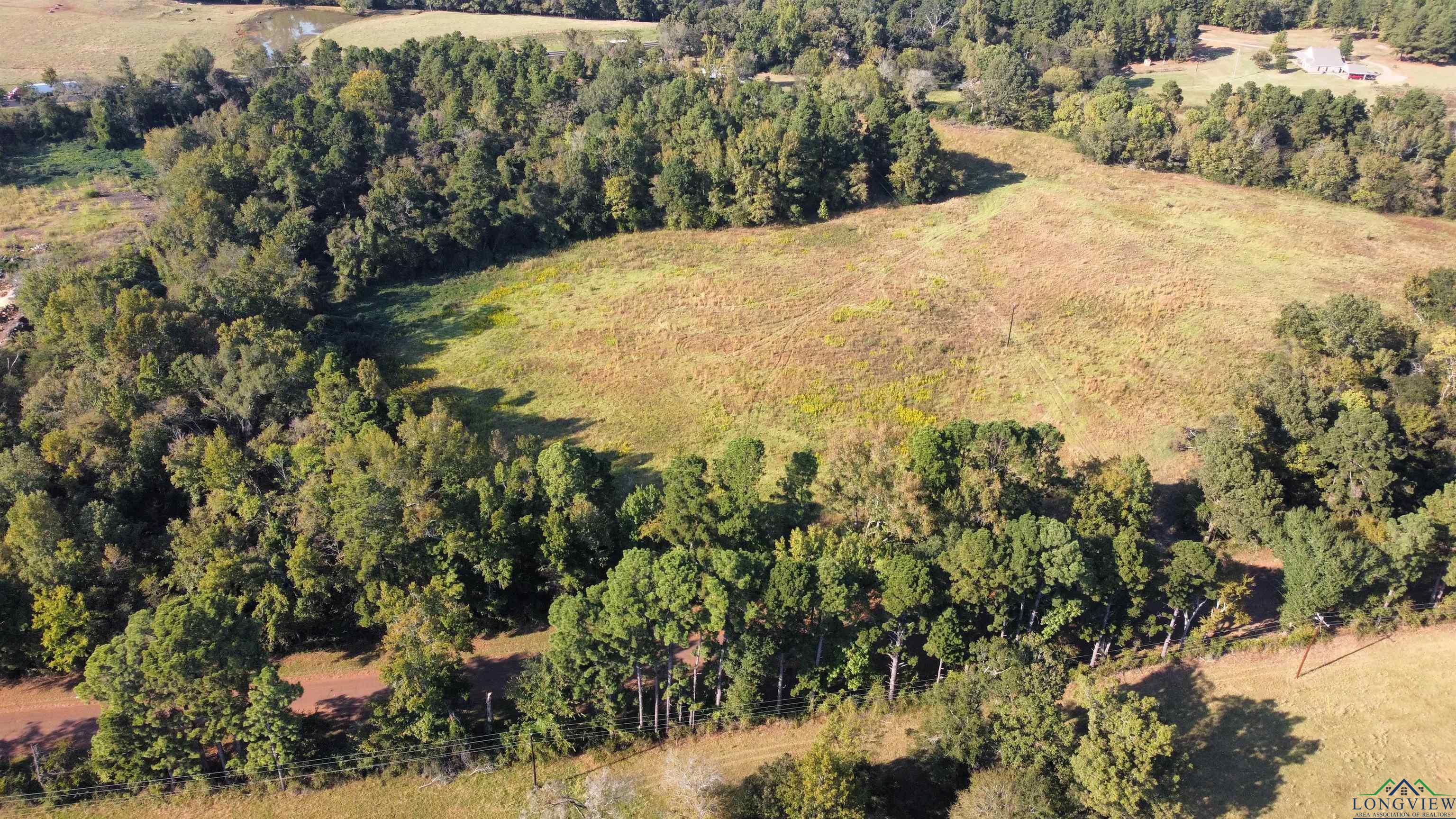 TBD W Cr 4187, Henderson, Texas image 6