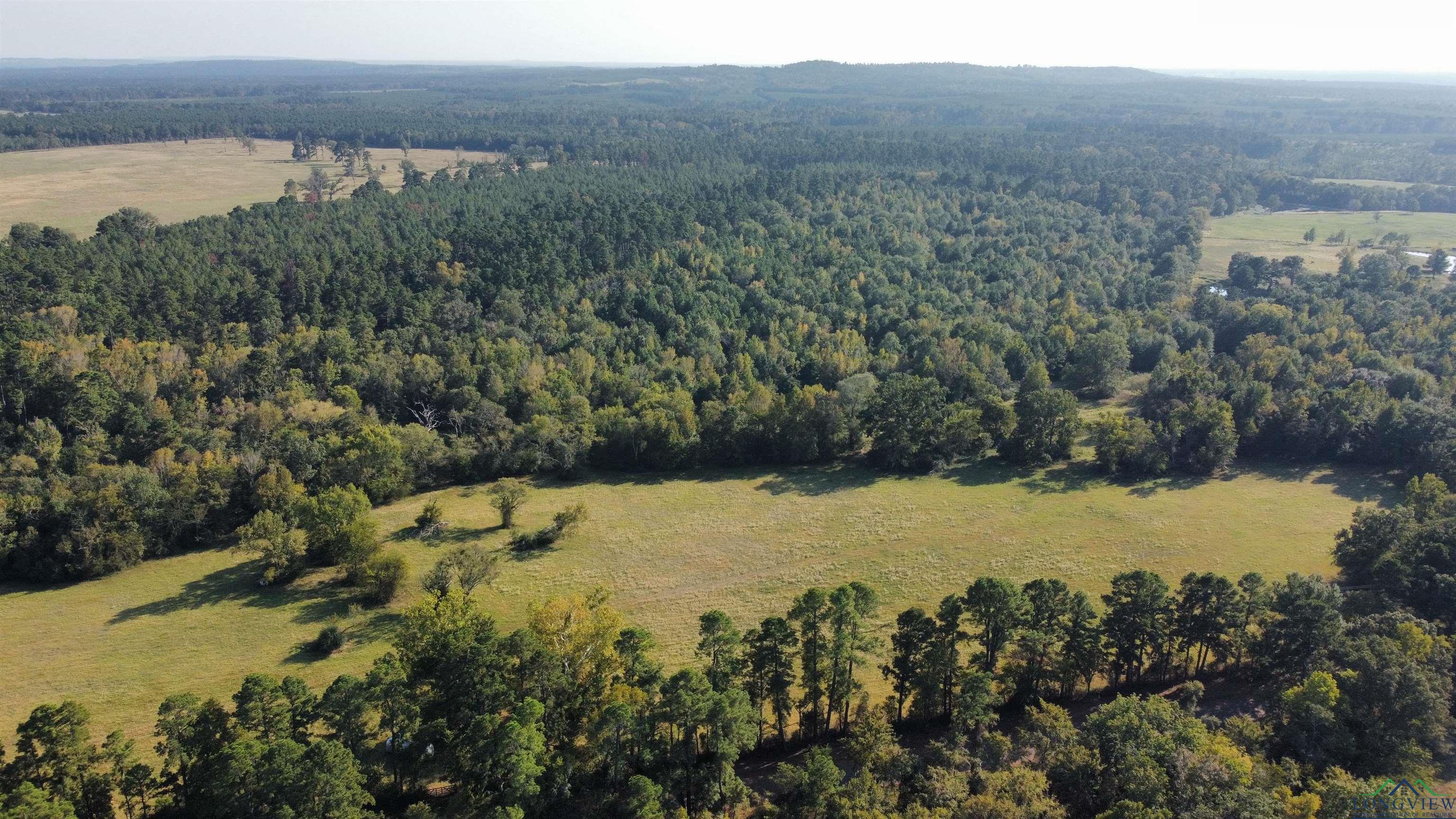 TBD W Cr 4187, Henderson, Texas image 12