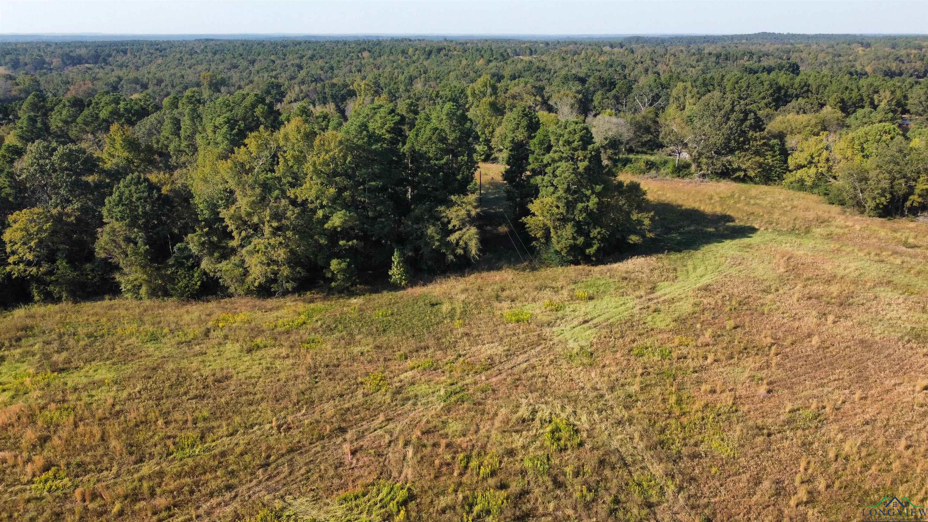 TBD W Cr 4187, Henderson, Texas image 5