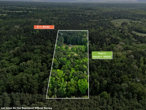 Vacant Land For Sale - TBD Chinaberry Rd. Tract 3<br/> Gilmer, TX 75645