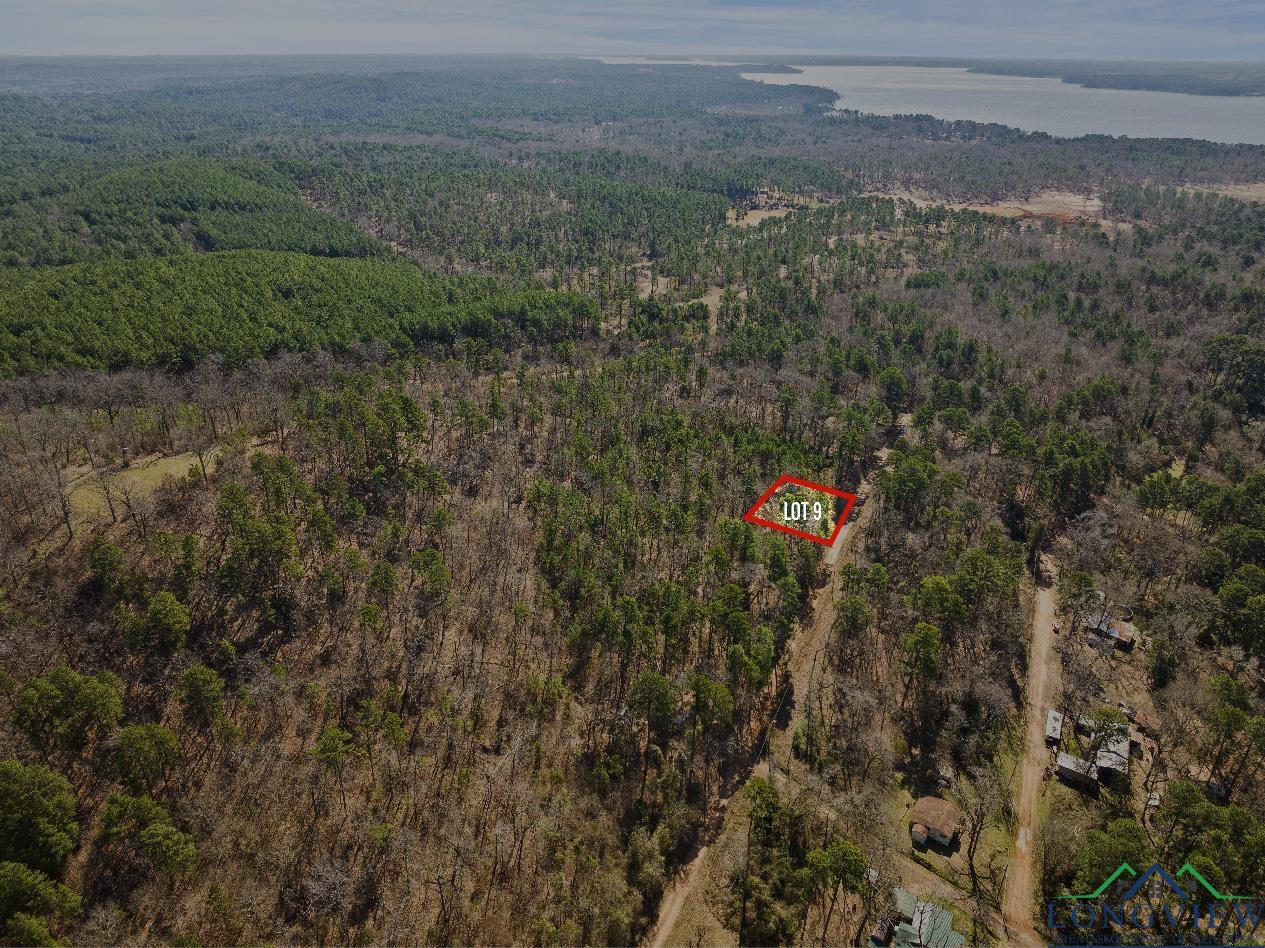 TBD Frank St Lot #209/210, Lone Star, Texas image 1
