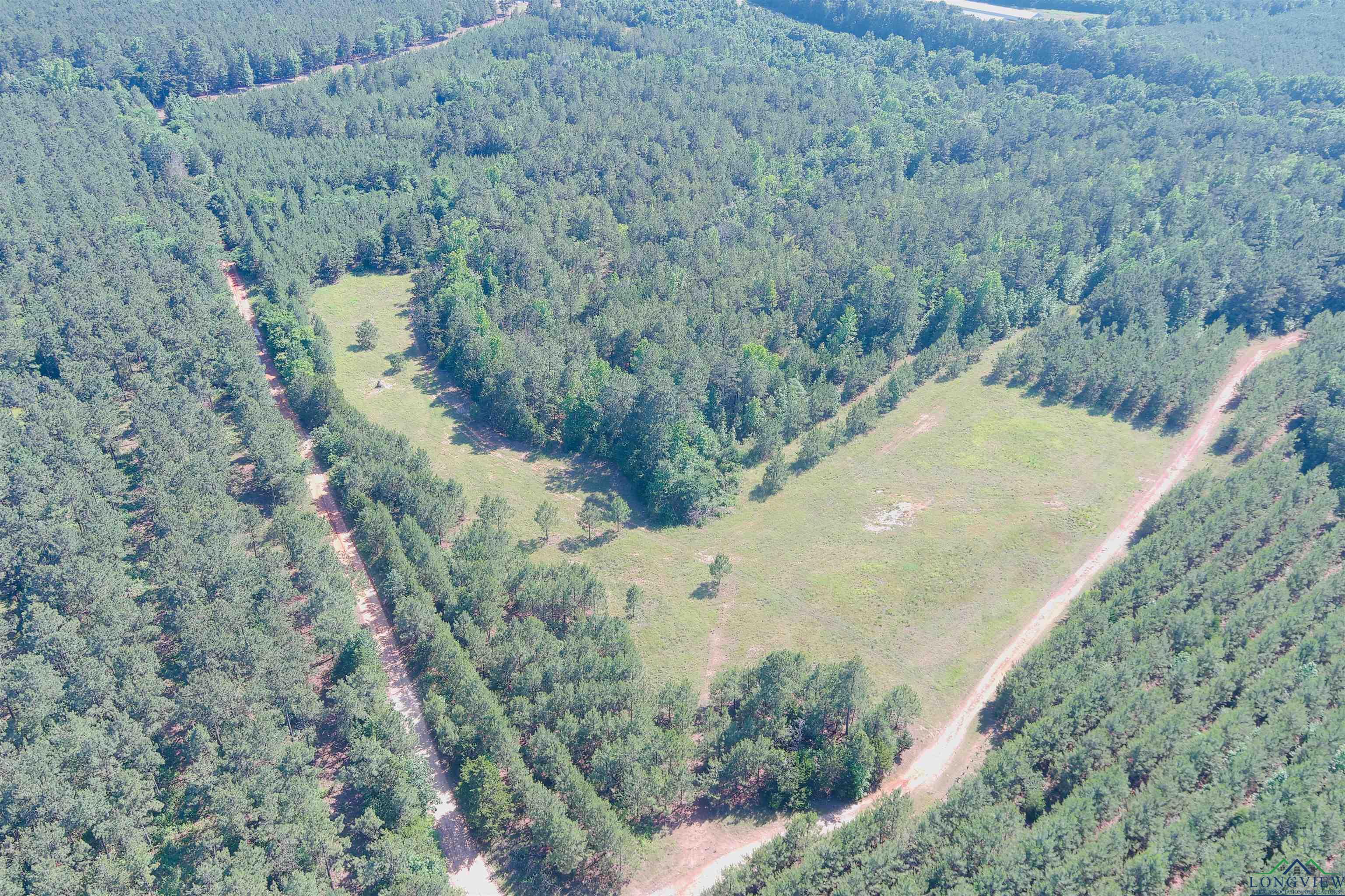 287 Cr 1123, Linden, Texas image 27