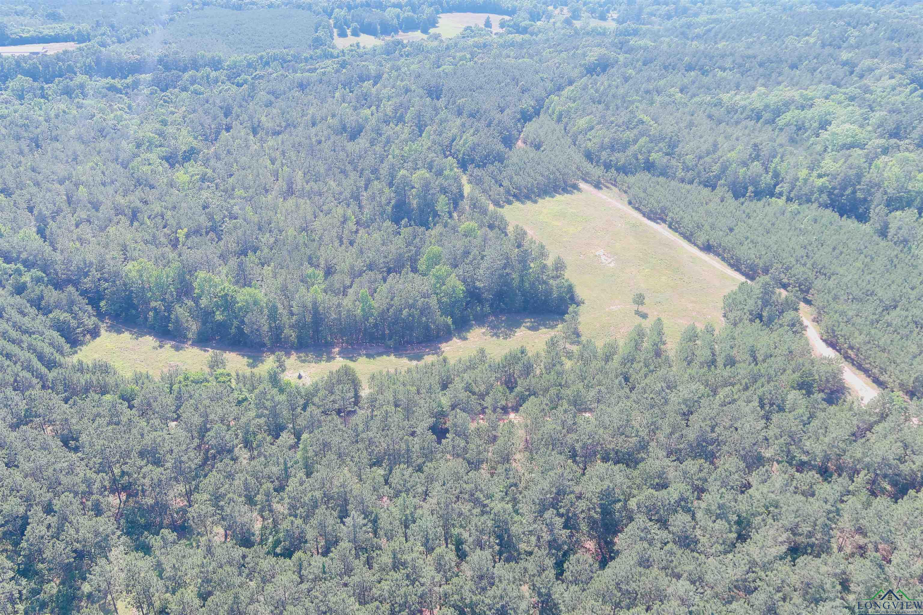 287 Cr 1123, Linden, Texas image 31