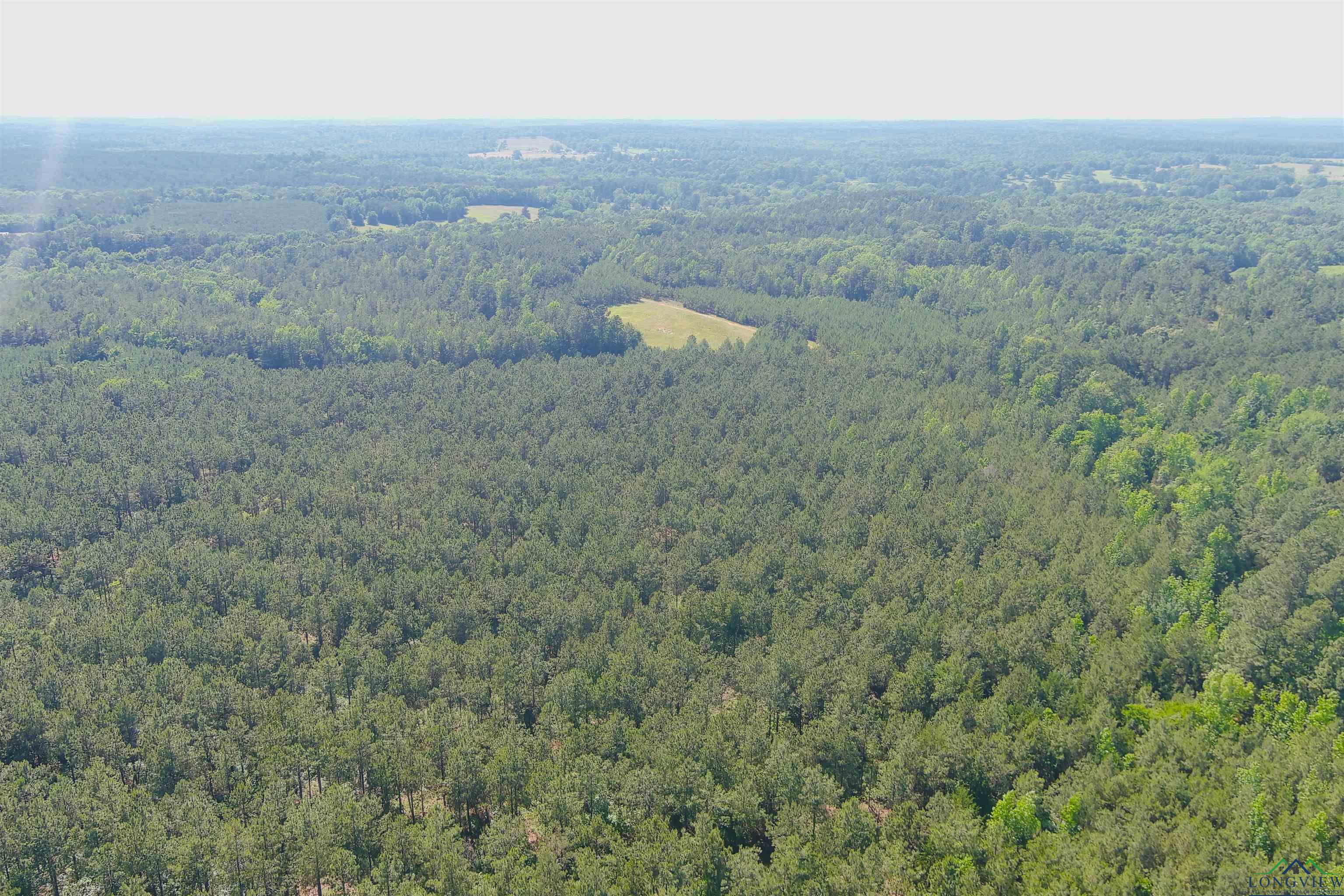 287 Cr 1123, Linden, Texas image 30