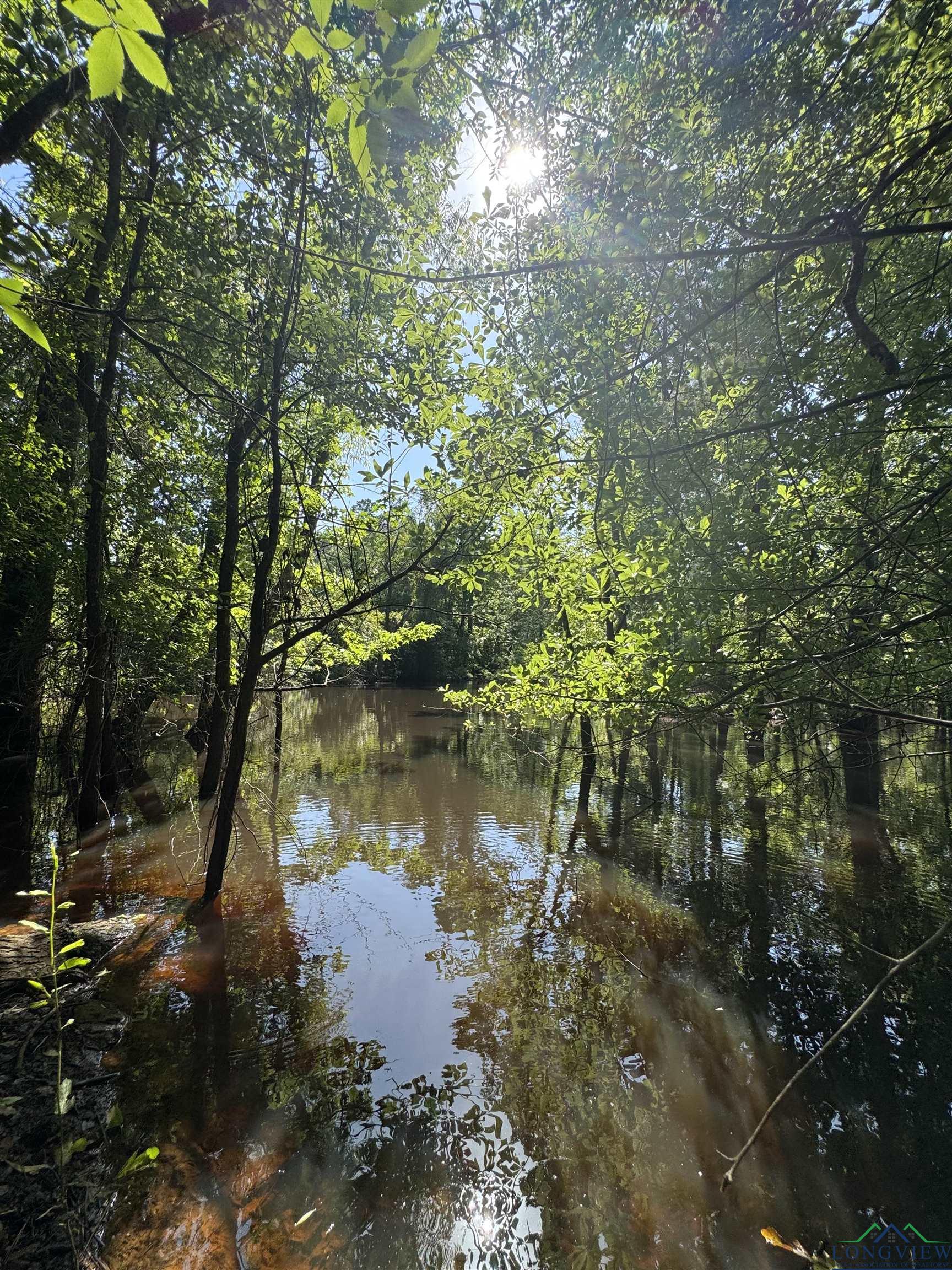287 Cr 1123, Linden, Texas image 19