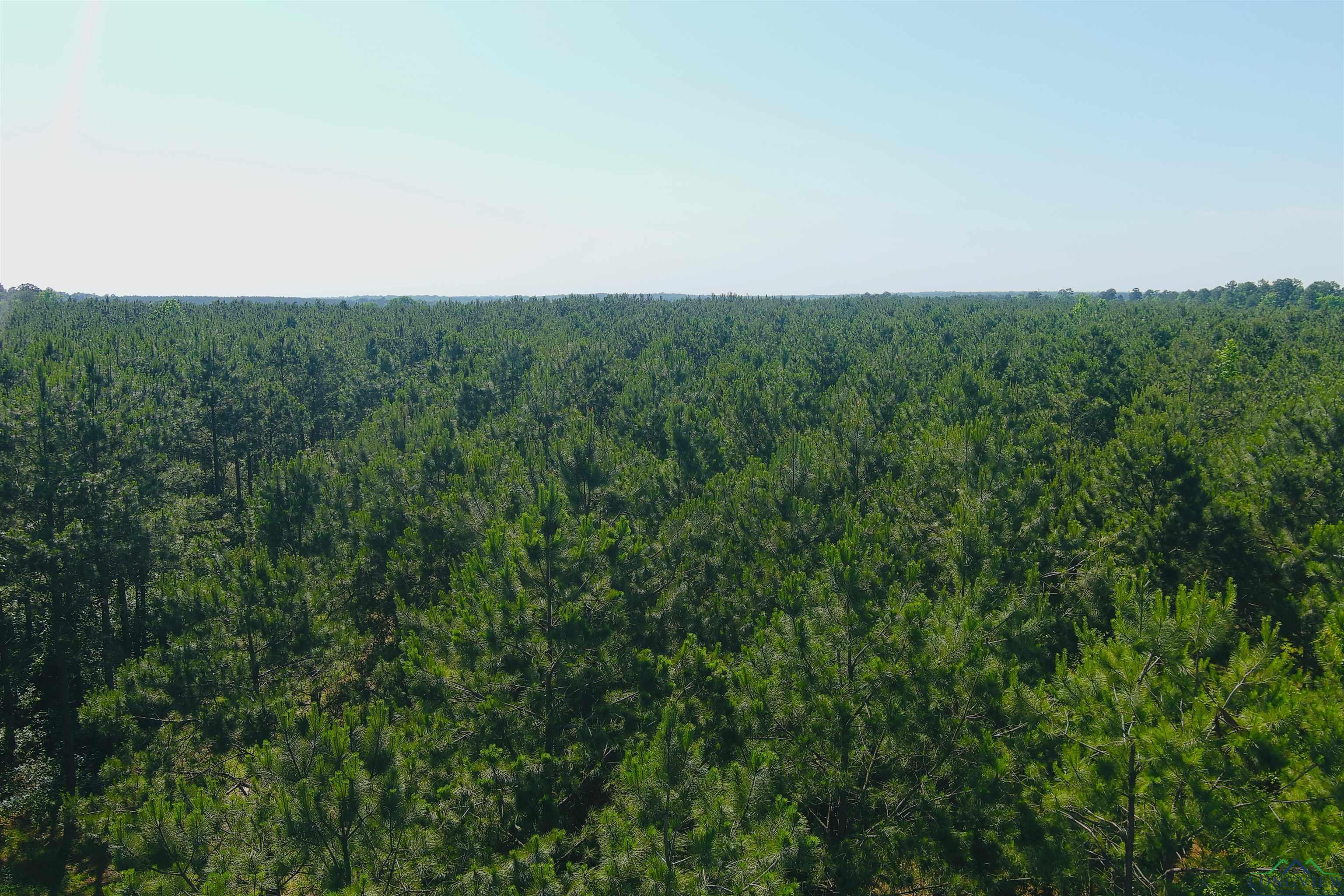 287 Cr 1123, Linden, Texas image 26