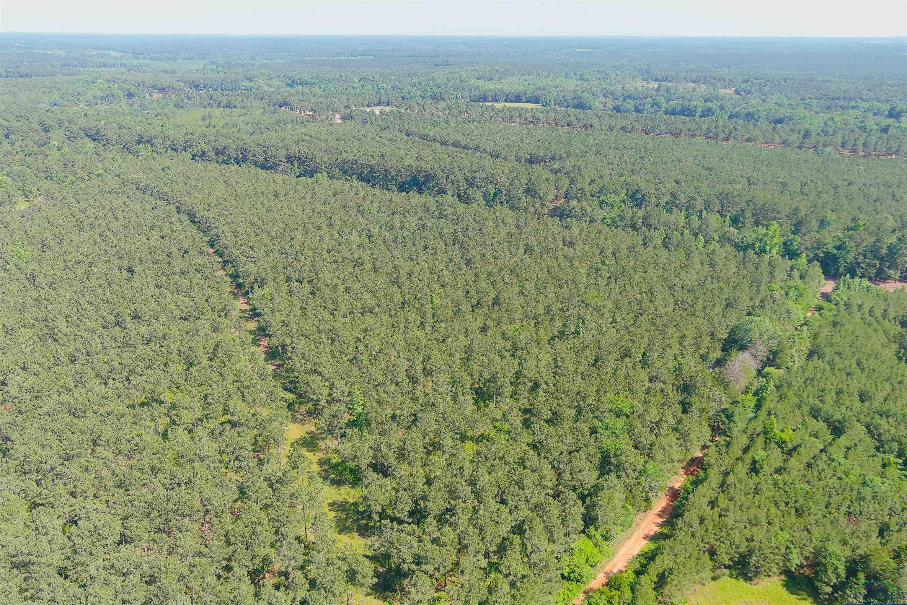 287 Cr 1123, Linden, Texas image 29